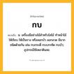 กบ ความหมาย หมายถึงอะไร?, คำในภาษาไทย กบ หมายถึง น. เครื่องมือช่างไม้สําหรับไสไม้ ทําหน้าไม้ให้เรียบ ให้เป็นราง หรือลอกบัว ลอกลวด มีมากชนิดด้วยกัน เช่น กบกระดี่ กบบรรทัด กบบัว; อุปกรณ์ใช้เหลาดินสอ.