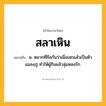 สลาเหิน ความหมาย หมายถึงอะไร?, คำในภาษาไทย สลาเหิน หมายถึง น. หมากที่ถือกันว่าเมื่อเสกแล้วเป็นตัวแมลงภู่ ทําให้ผู้กินแล้วลุ่มหลงรัก.