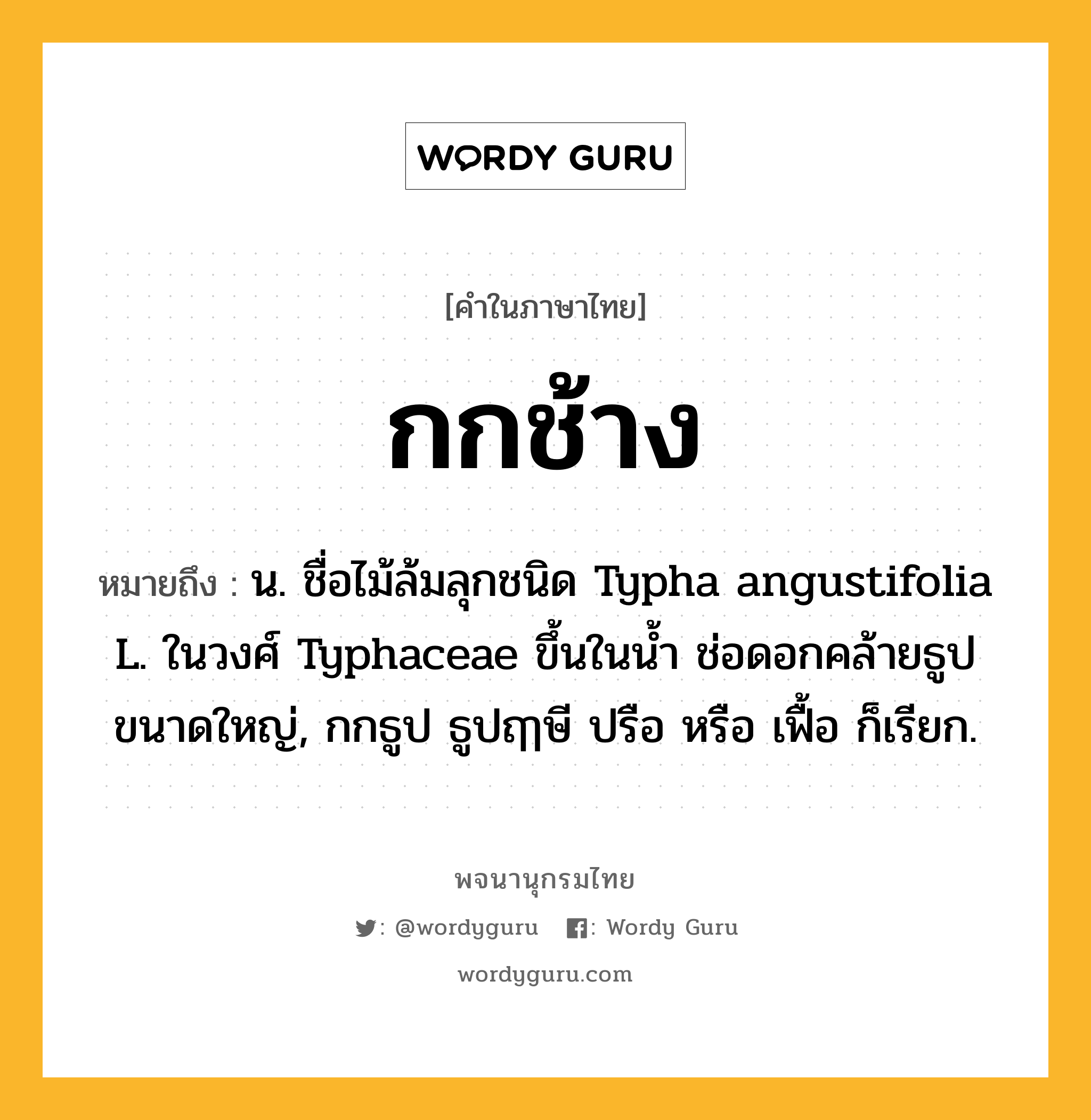 กกช้าง ความหมาย หมายถึงอะไร?, คำในภาษาไทย กกช้าง หมายถึง น. ชื่อไม้ล้มลุกชนิด Typha angustifolia L. ในวงศ์ Typhaceae ขึ้นในนํ้า ช่อดอกคล้ายธูปขนาดใหญ่, กกธูป ธูปฤๅษี ปรือ หรือ เฟื้อ ก็เรียก.