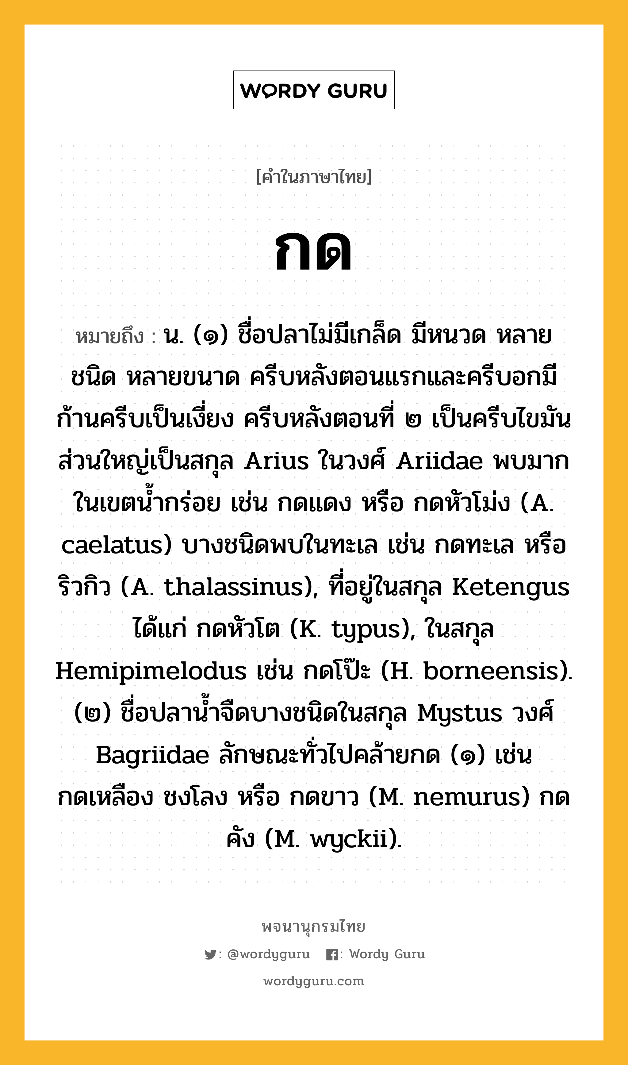 กด ความหมาย หมายถึงอะไร?, คำในภาษาไทย กด หมายถึง น. (๑) ชื่อปลาไม่มีเกล็ด มีหนวด หลายชนิด หลายขนาด ครีบหลังตอนแรกและครีบอกมีก้านครีบเป็นเงี่ยง ครีบหลังตอนที่ ๒ เป็นครีบไขมัน ส่วนใหญ่เป็นสกุล Arius ในวงศ์ Ariidae พบมากในเขตนํ้ากร่อย เช่น กดแดง หรือ กดหัวโม่ง (A. caelatus) บางชนิดพบในทะเล เช่น กดทะเล หรือ ริวกิว (A. thalassinus), ที่อยู่ในสกุล Ketengus ได้แก่ กดหัวโต (K. typus), ในสกุล Hemipimelodus เช่น กดโป๊ะ (H. borneensis). (๒) ชื่อปลานํ้าจืดบางชนิดในสกุล Mystus วงศ์ Bagriidae ลักษณะทั่วไปคล้ายกด (๑) เช่น กดเหลือง ชงโลง หรือ กดขาว (M. nemurus) กดคัง (M. wyckii).