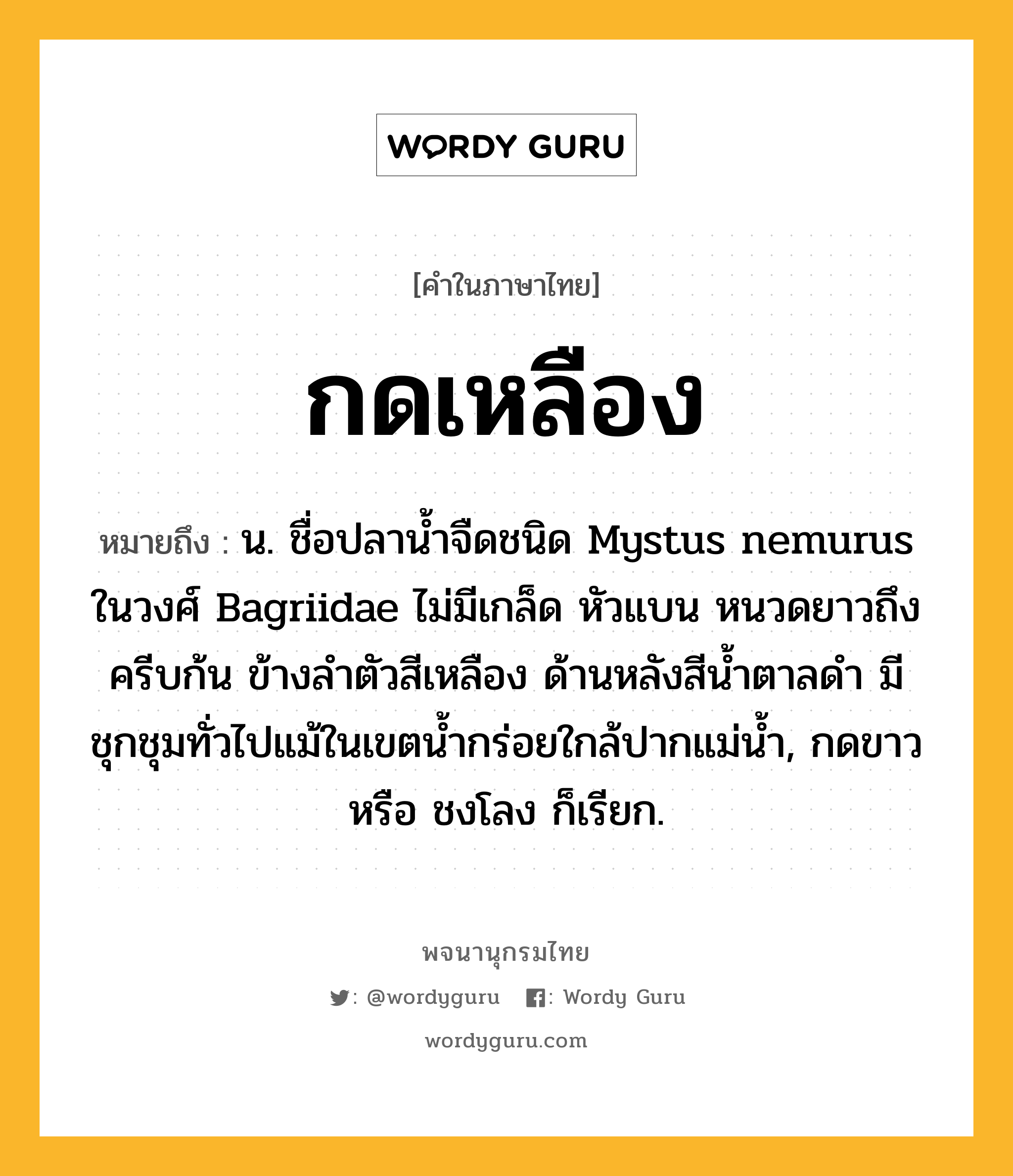 กดเหลือง ความหมาย หมายถึงอะไร?, คำในภาษาไทย กดเหลือง หมายถึง น. ชื่อปลาน้ำจืดชนิด Mystus nemurus ในวงศ์ Bagriidae ไม่มีเกล็ด หัวแบน หนวดยาวถึงครีบก้น ข้างลำตัวสีเหลือง ด้านหลังสีน้ำตาลดำ มีชุกชุมทั่วไปแม้ในเขตน้ำกร่อยใกล้ปากแม่น้ำ, กดขาว หรือ ชงโลง ก็เรียก.