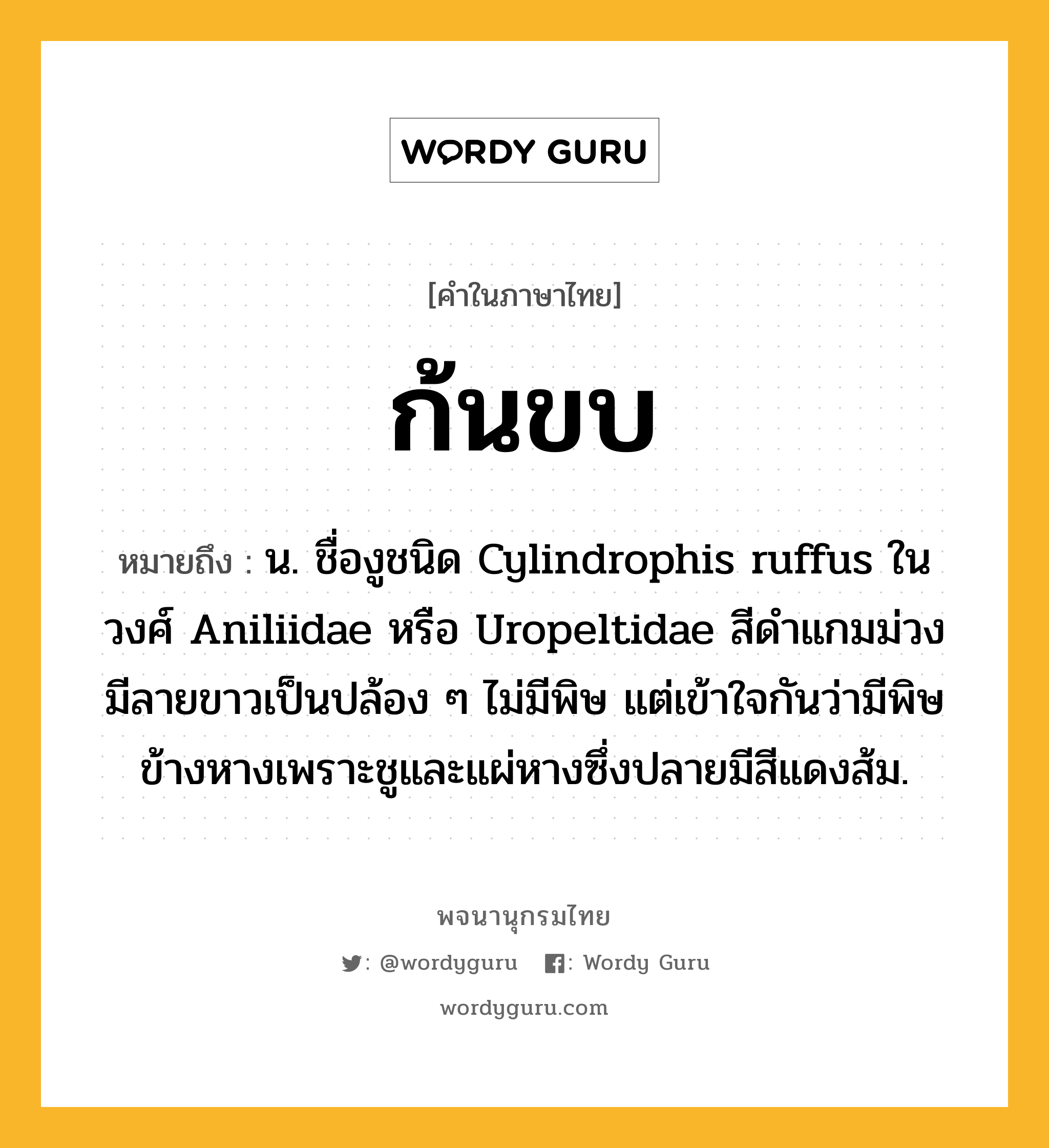 ก้นขบ ความหมาย หมายถึงอะไร?, คำในภาษาไทย ก้นขบ หมายถึง น. ชื่องูชนิด Cylindrophis ruffus ในวงศ์ Aniliidae หรือ Uropeltidae สีดําแกมม่วง มีลายขาวเป็นปล้อง ๆ ไม่มีพิษ แต่เข้าใจกันว่ามีพิษข้างหางเพราะชูและแผ่หางซึ่งปลายมีสีแดงส้ม.