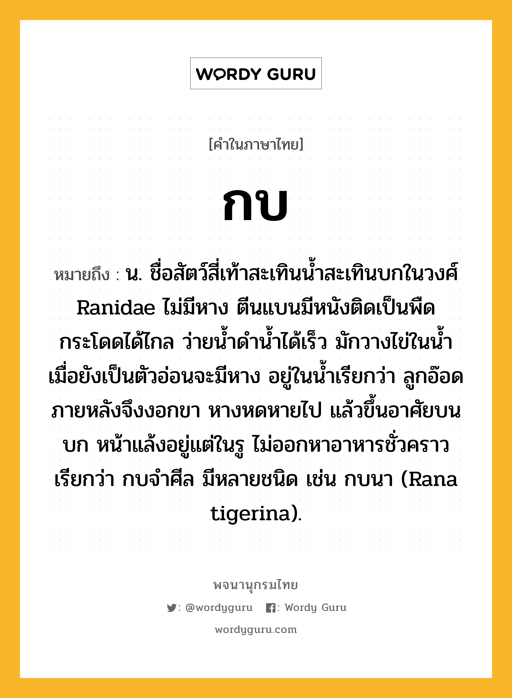 กบ ความหมาย หมายถึงอะไร?, คำในภาษาไทย กบ หมายถึง น. ชื่อสัตว์สี่เท้าสะเทินนํ้าสะเทินบกในวงศ์ Ranidae ไม่มีหาง ตีนแบนมีหนังติดเป็นพืด กระโดดได้ไกล ว่ายนํ้าดํานํ้าได้เร็ว มักวางไข่ในนํ้า เมื่อยังเป็นตัวอ่อนจะมีหาง อยู่ในนํ้าเรียกว่า ลูกอ๊อด ภายหลังจึงงอกขา หางหดหายไป แล้วขึ้นอาศัยบนบก หน้าแล้งอยู่แต่ในรู ไม่ออกหาอาหารชั่วคราว เรียกว่า กบจําศีล มีหลายชนิด เช่น กบนา (Rana tigerina).