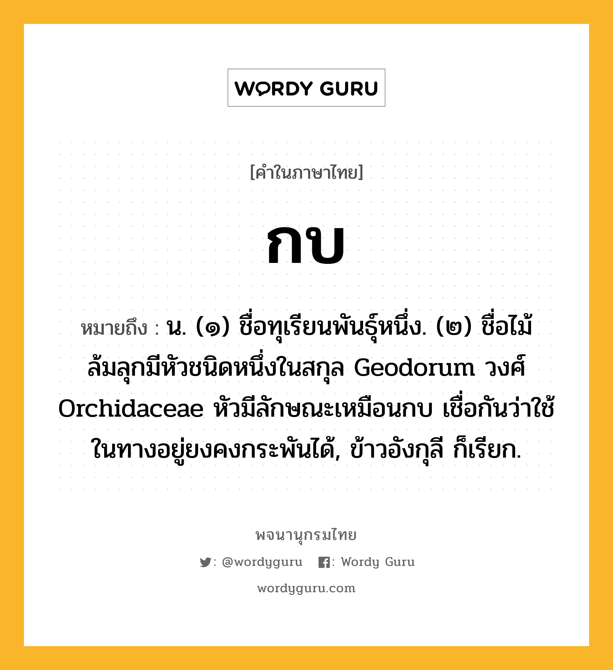 กบ ความหมาย หมายถึงอะไร?, คำในภาษาไทย กบ หมายถึง น. (๑) ชื่อทุเรียนพันธุ์หนึ่ง. (๒) ชื่อไม้ล้มลุกมีหัวชนิดหนึ่งในสกุล Geodorum วงศ์ Orchidaceae หัวมีลักษณะเหมือนกบ เชื่อกันว่าใช้ในทางอยู่ยงคงกระพันได้, ข้าวอังกุลี ก็เรียก.