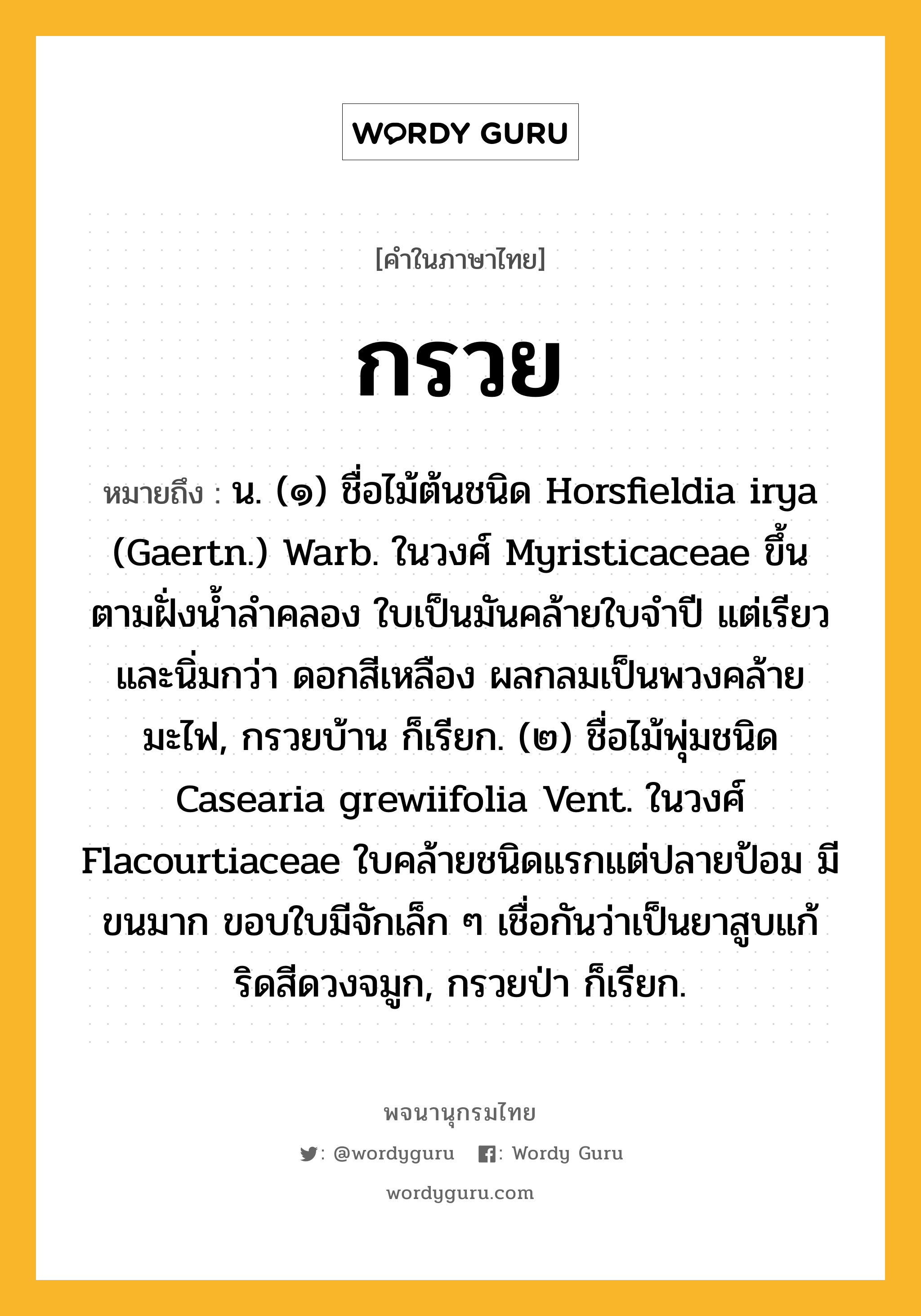 กรวย ความหมาย หมายถึงอะไร?, คำในภาษาไทย กรวย หมายถึง น. (๑) ชื่อไม้ต้นชนิด Horsfieldia irya (Gaertn.) Warb. ในวงศ์ Myristicaceae ขึ้นตามฝั่งนํ้าลําคลอง ใบเป็นมันคล้ายใบจําปี แต่เรียวและนิ่มกว่า ดอกสีเหลือง ผลกลมเป็นพวงคล้ายมะไฟ, กรวยบ้าน ก็เรียก. (๒) ชื่อไม้พุ่มชนิด Casearia grewiifolia Vent. ในวงศ์ Flacourtiaceae ใบคล้ายชนิดแรกแต่ปลายป้อม มีขนมาก ขอบใบมีจักเล็ก ๆ เชื่อกันว่าเป็นยาสูบแก้ริดสีดวงจมูก, กรวยป่า ก็เรียก.