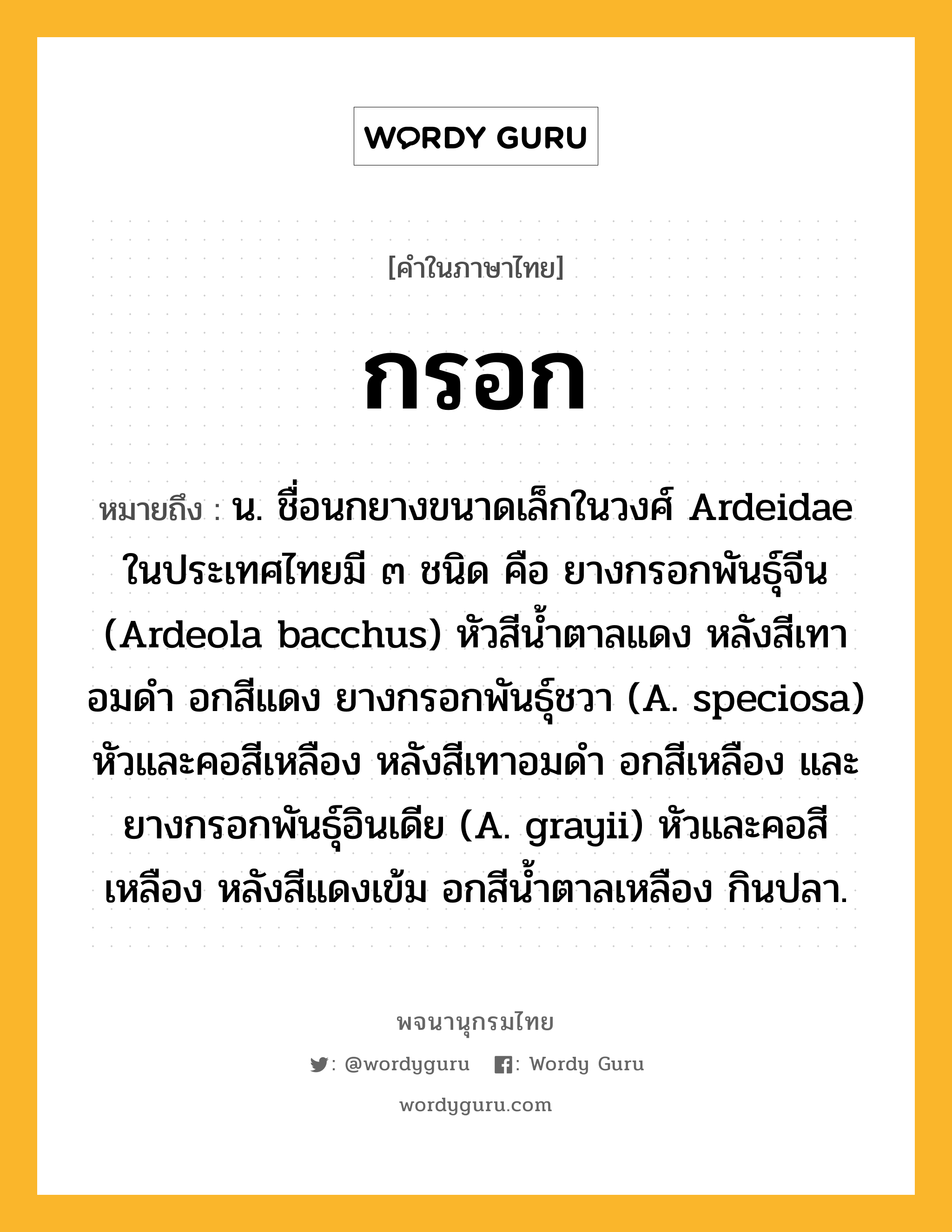 กรอก ความหมาย หมายถึงอะไร?, คำในภาษาไทย กรอก หมายถึง น. ชื่อนกยางขนาดเล็กในวงศ์ Ardeidae ในประเทศไทยมี ๓ ชนิด คือ ยางกรอกพันธุ์จีน (Ardeola bacchus) หัวสีนํ้าตาลแดง หลังสีเทาอมดำ อกสีแดง ยางกรอกพันธุ์ชวา (A. speciosa) หัวและคอสีเหลือง หลังสีเทาอมดำ อกสีเหลือง และยางกรอกพันธุ์อินเดีย (A. grayii) หัวและคอสีเหลือง หลังสีแดงเข้ม อกสีน้ำตาลเหลือง กินปลา.