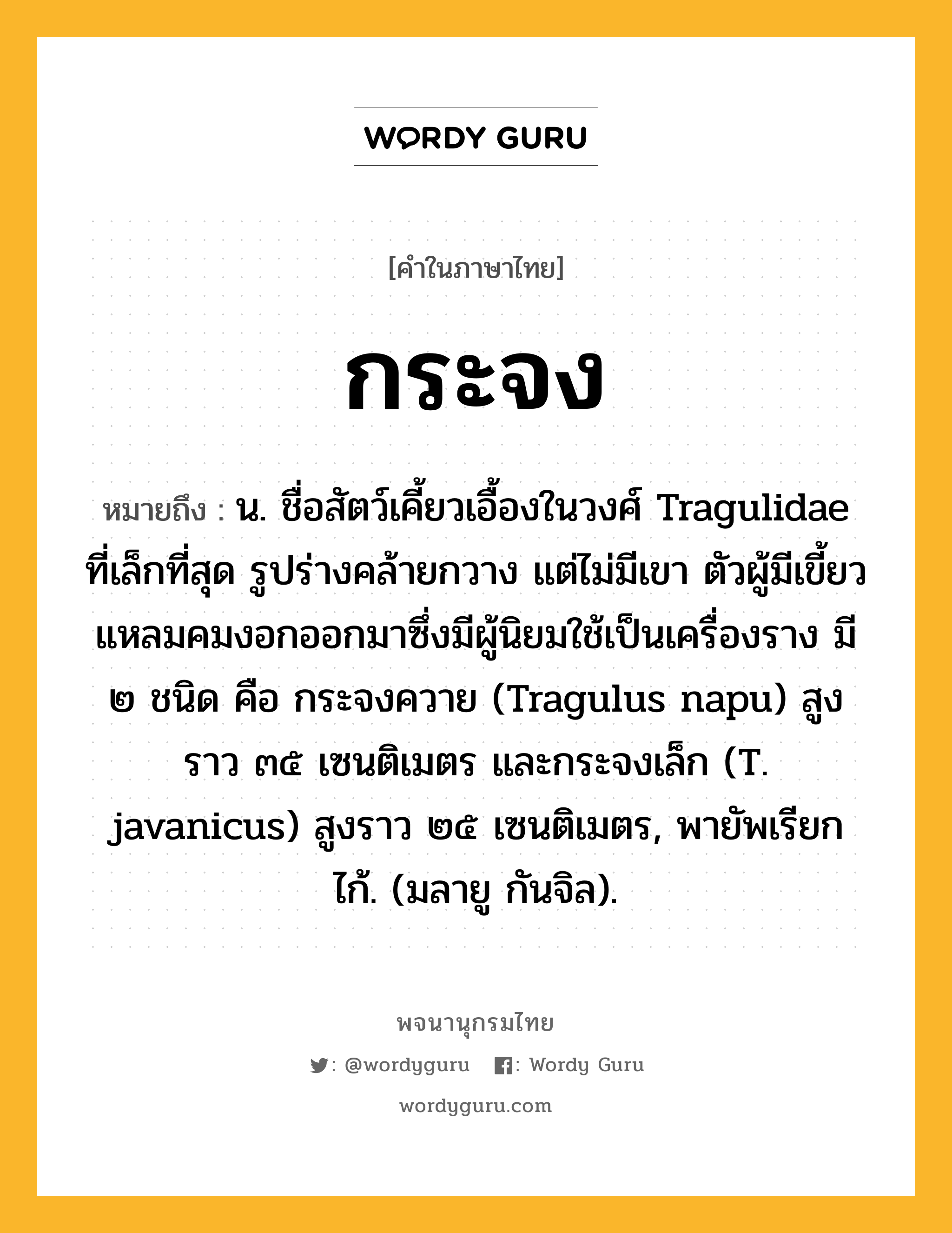 กระจง ความหมาย หมายถึงอะไร?, คำในภาษาไทย กระจง หมายถึง น. ชื่อสัตว์เคี้ยวเอื้องในวงศ์ Tragulidae ที่เล็กที่สุด รูปร่างคล้ายกวาง แต่ไม่มีเขา ตัวผู้มีเขี้ยวแหลมคมงอกออกมาซึ่งมีผู้นิยมใช้เป็นเครื่องราง มี ๒ ชนิด คือ กระจงควาย (Tragulus napu) สูงราว ๓๕ เซนติเมตร และกระจงเล็ก (T. javanicus) สูงราว ๒๕ เซนติเมตร, พายัพเรียก ไก้. (มลายู กันจิล).