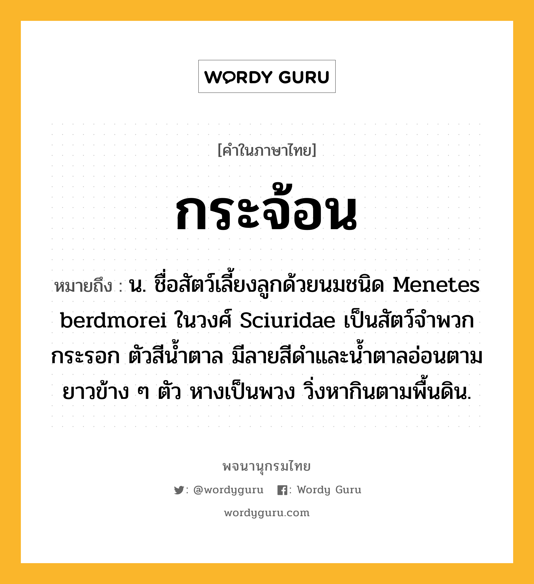 กระจ้อน ความหมาย หมายถึงอะไร?, คำในภาษาไทย กระจ้อน หมายถึง น. ชื่อสัตว์เลี้ยงลูกด้วยนมชนิด Menetes berdmorei ในวงศ์ Sciuridae เป็นสัตว์จำพวกกระรอก ตัวสีนํ้าตาล มีลายสีดําและนํ้าตาลอ่อนตามยาวข้าง ๆ ตัว หางเป็นพวง วิ่งหากินตามพื้นดิน.