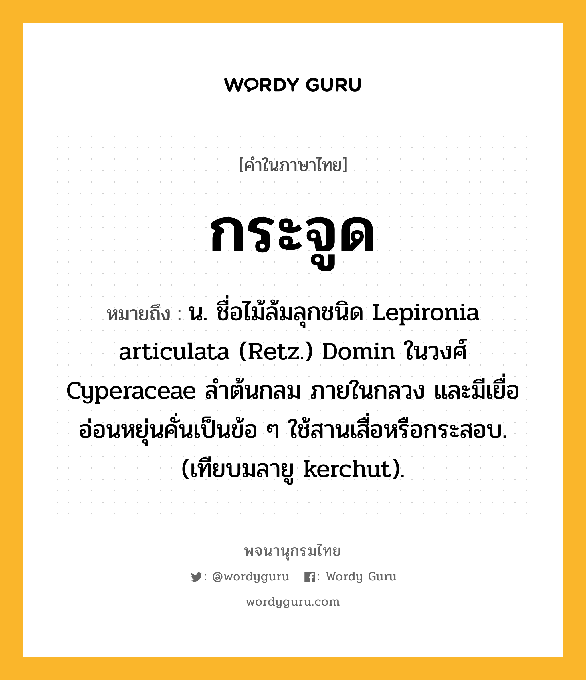 กระจูด ความหมาย หมายถึงอะไร?, คำในภาษาไทย กระจูด หมายถึง น. ชื่อไม้ล้มลุกชนิด Lepironia articulata (Retz.) Domin ในวงศ์ Cyperaceae ลําต้นกลม ภายในกลวง และมีเยื่ออ่อนหยุ่นคั่นเป็นข้อ ๆ ใช้สานเสื่อหรือกระสอบ. (เทียบมลายู kerchut).