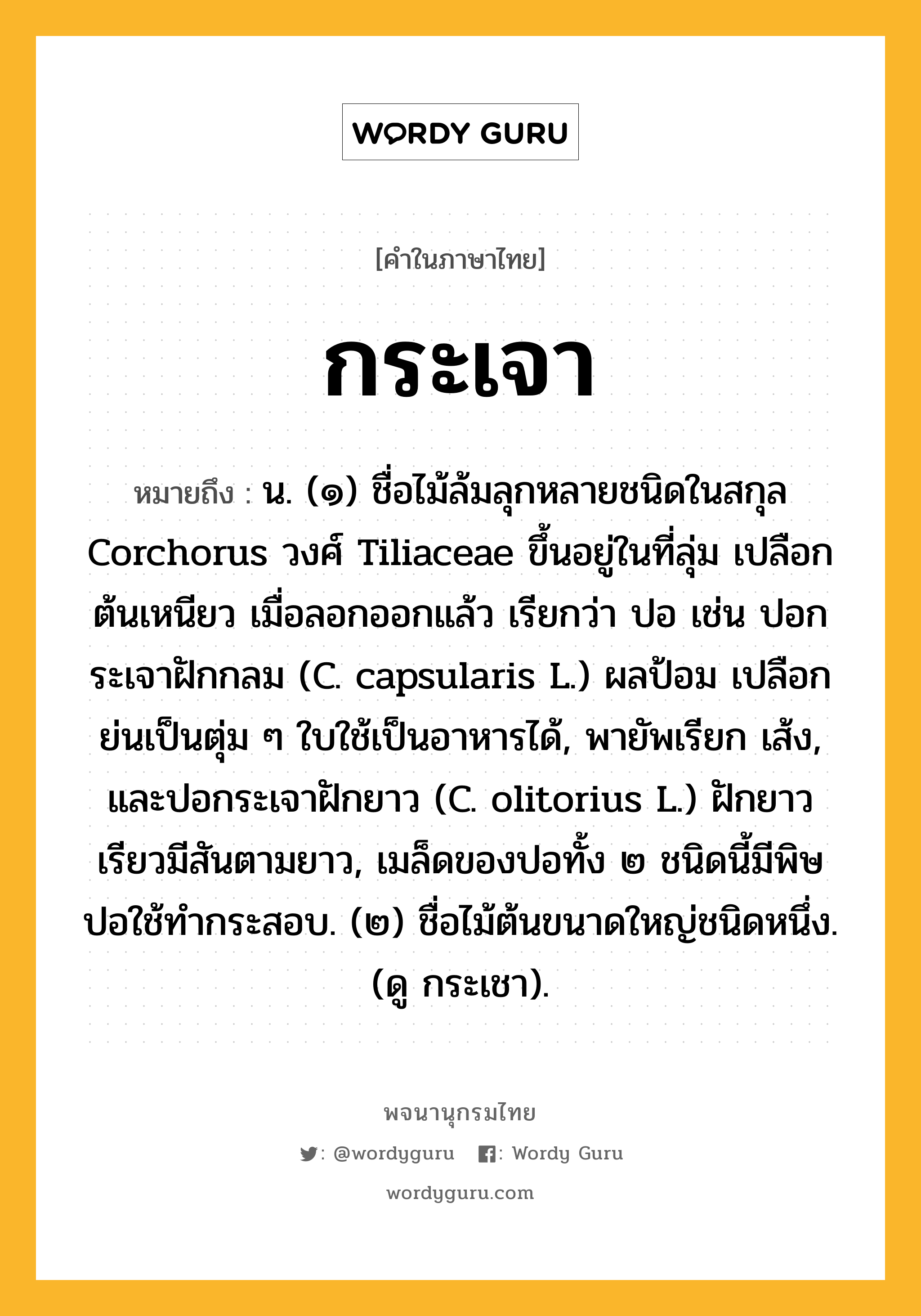 กระเจา ความหมาย หมายถึงอะไร?, คำในภาษาไทย กระเจา หมายถึง น. (๑) ชื่อไม้ล้มลุกหลายชนิดในสกุล Corchorus วงศ์ Tiliaceae ขึ้นอยู่ในที่ลุ่ม เปลือกต้นเหนียว เมื่อลอกออกแล้ว เรียกว่า ปอ เช่น ปอกระเจาฝักกลม (C. capsularis L.) ผลป้อม เปลือกย่นเป็นตุ่ม ๆ ใบใช้เป็นอาหารได้, พายัพเรียก เส้ง, และปอกระเจาฝักยาว (C. olitorius L.) ฝักยาวเรียวมีสันตามยาว, เมล็ดของปอทั้ง ๒ ชนิดนี้มีพิษ ปอใช้ทํากระสอบ. (๒) ชื่อไม้ต้นขนาดใหญ่ชนิดหนึ่ง. (ดู กระเชา).