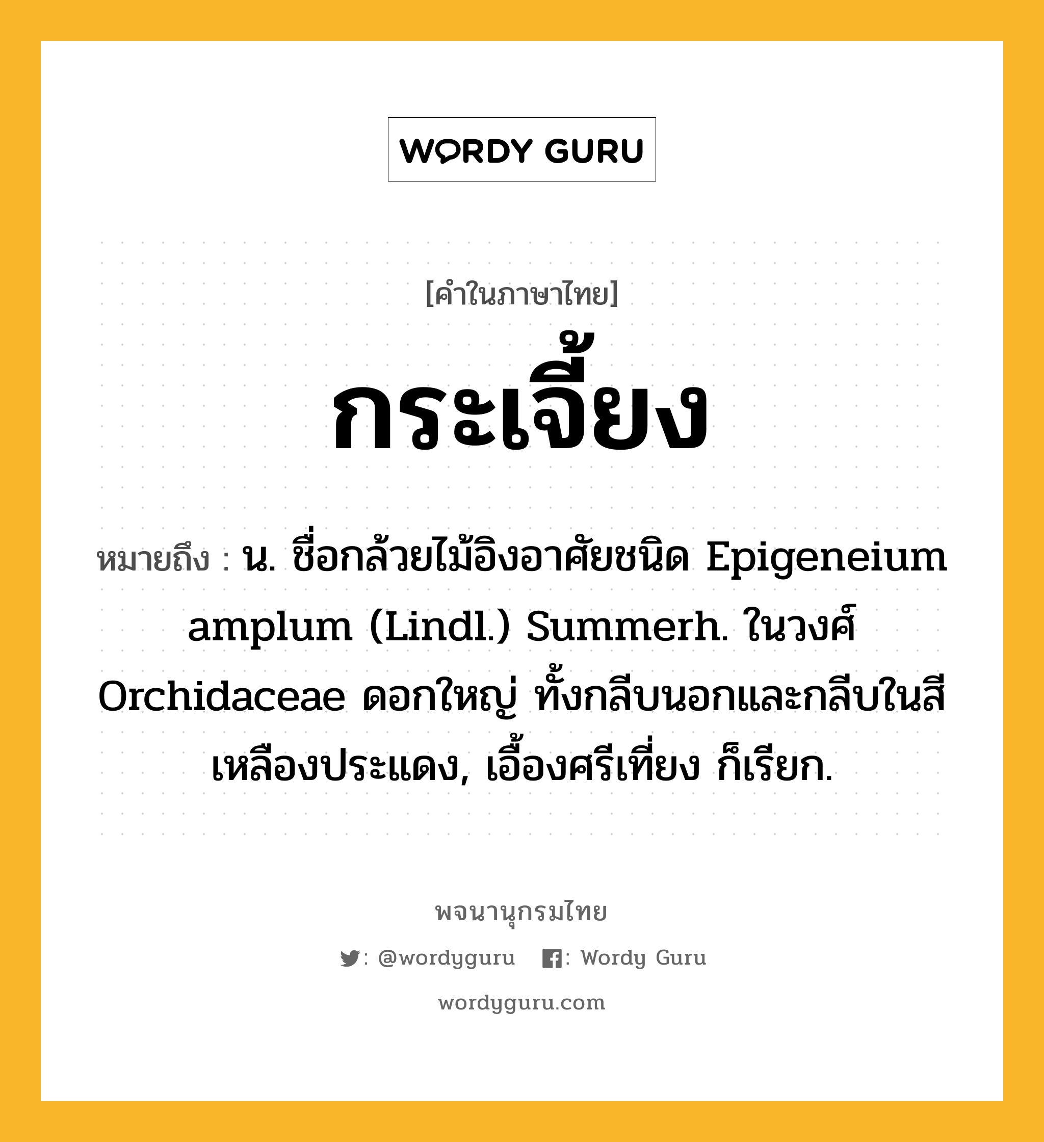 กระเจี้ยง ความหมาย หมายถึงอะไร?, คำในภาษาไทย กระเจี้ยง หมายถึง น. ชื่อกล้วยไม้อิงอาศัยชนิด Epigeneium amplum (Lindl.) Summerh. ในวงศ์ Orchidaceae ดอกใหญ่ ทั้งกลีบนอกและกลีบในสีเหลืองประแดง, เอื้องศรีเที่ยง ก็เรียก.