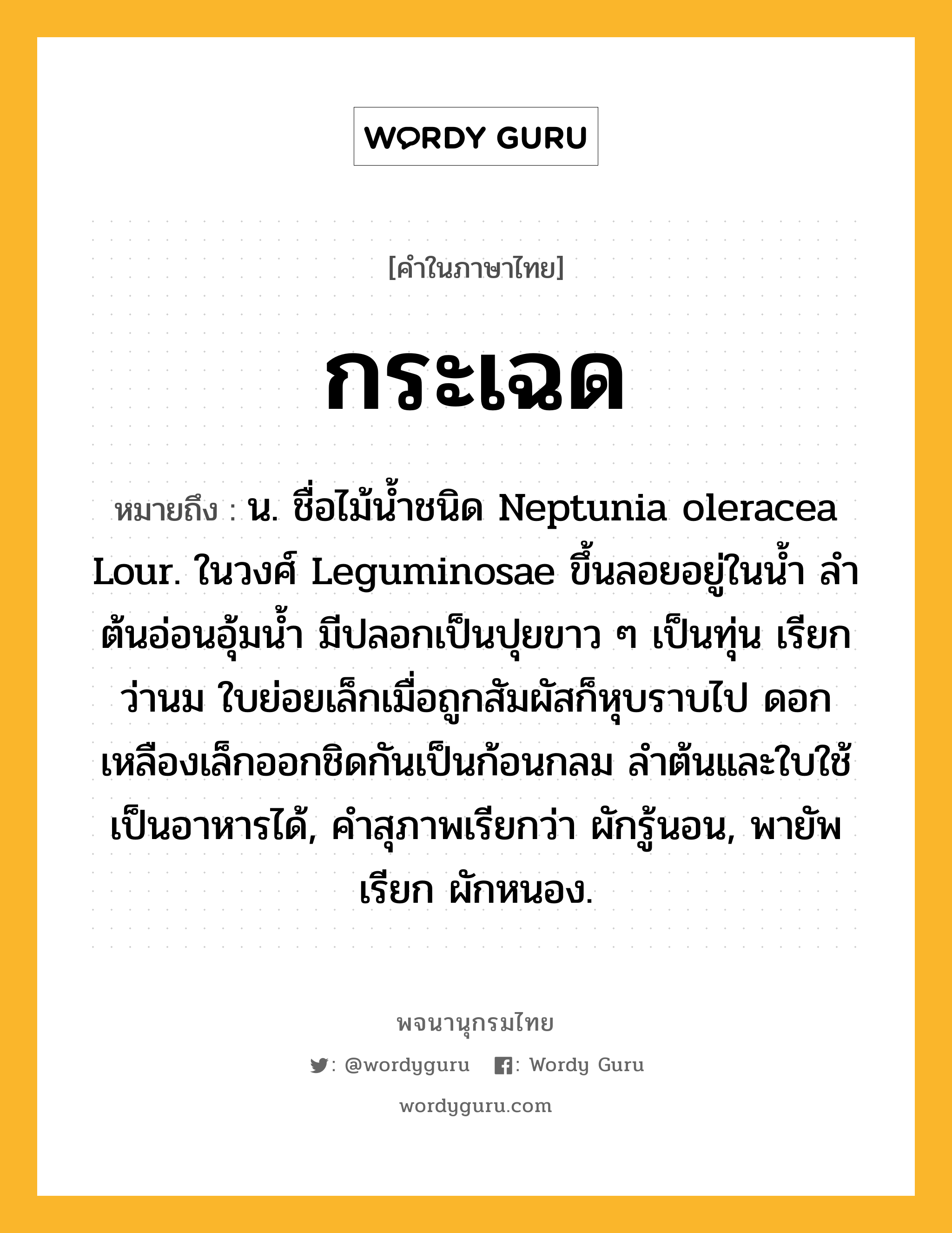 กระเฉด ความหมาย หมายถึงอะไร?, คำในภาษาไทย กระเฉด หมายถึง น. ชื่อไม้นํ้าชนิด Neptunia oleracea Lour. ในวงศ์ Leguminosae ขึ้นลอยอยู่ในนํ้า ลําต้นอ่อนอุ้มน้ำ มีปลอกเป็นปุยขาว ๆ เป็นทุ่น เรียกว่านม ใบย่อยเล็กเมื่อถูกสัมผัสก็หุบราบไป ดอกเหลืองเล็กออกชิดกันเป็นก้อนกลม ลําต้นและใบใช้เป็นอาหารได้, คำสุภาพเรียกว่า ผักรู้นอน, พายัพเรียก ผักหนอง.