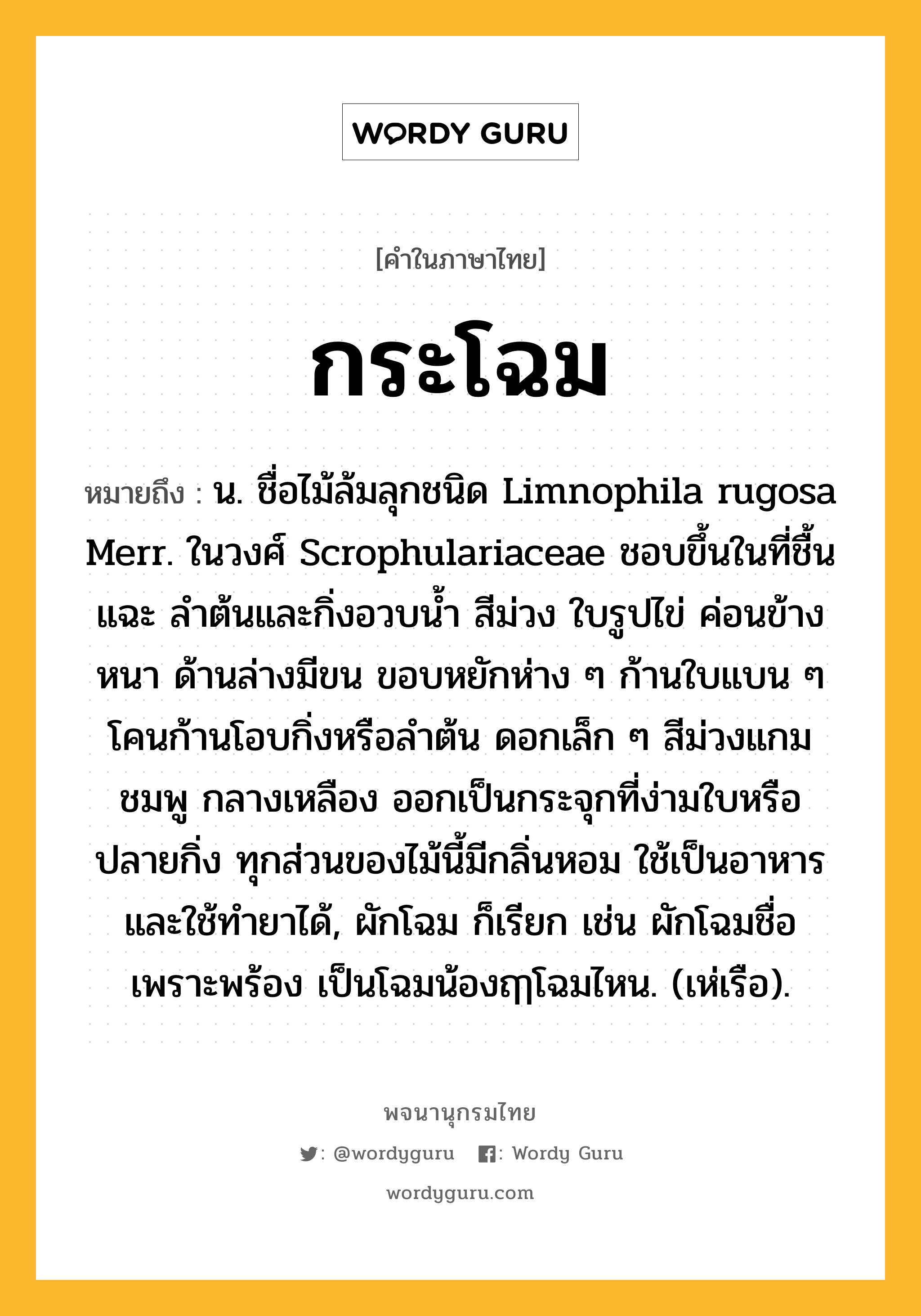 กระโฉม ความหมาย หมายถึงอะไร?, คำในภาษาไทย กระโฉม หมายถึง น. ชื่อไม้ล้มลุกชนิด Limnophila rugosa Merr. ในวงศ์ Scrophulariaceae ชอบขึ้นในที่ชื้นแฉะ ลําต้นและกิ่งอวบน้ำ สีม่วง ใบรูปไข่ ค่อนข้างหนา ด้านล่างมีขน ขอบหยักห่าง ๆ ก้านใบแบน ๆ โคนก้านโอบกิ่งหรือลําต้น ดอกเล็ก ๆ สีม่วงแกมชมพู กลางเหลือง ออกเป็นกระจุกที่ง่ามใบหรือปลายกิ่ง ทุกส่วนของไม้นี้มีกลิ่นหอม ใช้เป็นอาหาร และใช้ทํายาได้, ผักโฉม ก็เรียก เช่น ผักโฉมชื่อเพราะพร้อง เป็นโฉมน้องฤๅโฉมไหน. (เห่เรือ).