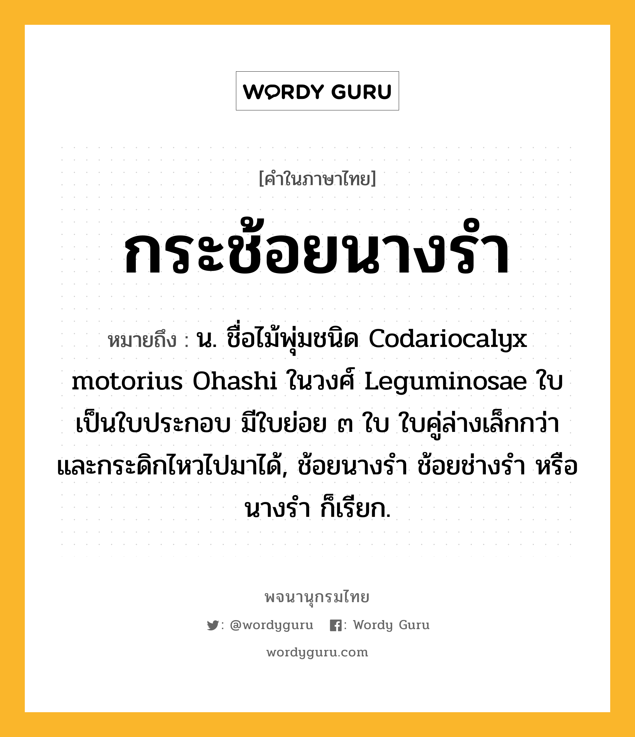 กระช้อยนางรำ ความหมาย หมายถึงอะไร?, คำในภาษาไทย กระช้อยนางรำ หมายถึง น. ชื่อไม้พุ่มชนิด Codariocalyx motorius Ohashi ในวงศ์ Leguminosae ใบเป็นใบประกอบ มีใบย่อย ๓ ใบ ใบคู่ล่างเล็กกว่าและกระดิกไหวไปมาได้, ช้อยนางรํา ช้อยช่างรํา หรือ นางรํา ก็เรียก.