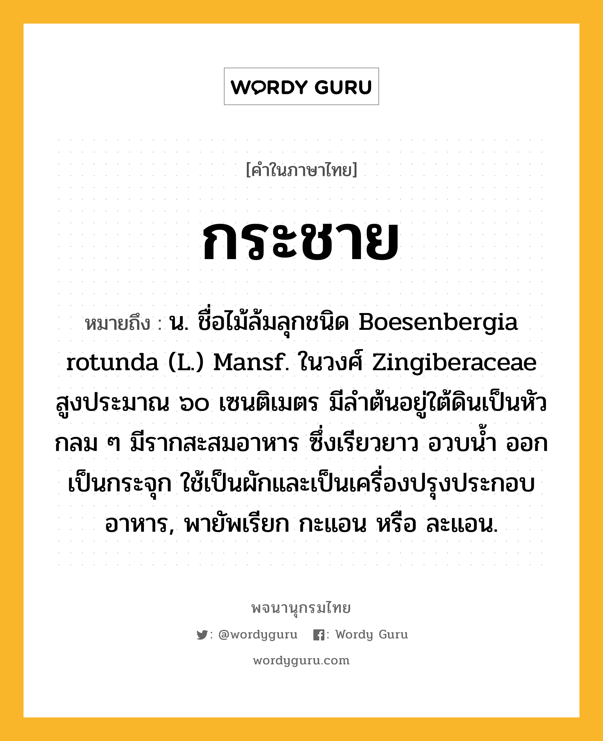 กระชาย ความหมาย หมายถึงอะไร?, คำในภาษาไทย กระชาย หมายถึง น. ชื่อไม้ล้มลุกชนิด Boesenbergia rotunda (L.) Mansf. ในวงศ์ Zingiberaceae สูงประมาณ ๖๐ เซนติเมตร มีลําต้นอยู่ใต้ดินเป็นหัวกลม ๆ มีรากสะสมอาหาร ซึ่งเรียวยาว อวบนํ้า ออกเป็นกระจุก ใช้เป็นผักและเป็นเครื่องปรุงประกอบอาหาร, พายัพเรียก กะแอน หรือ ละแอน.