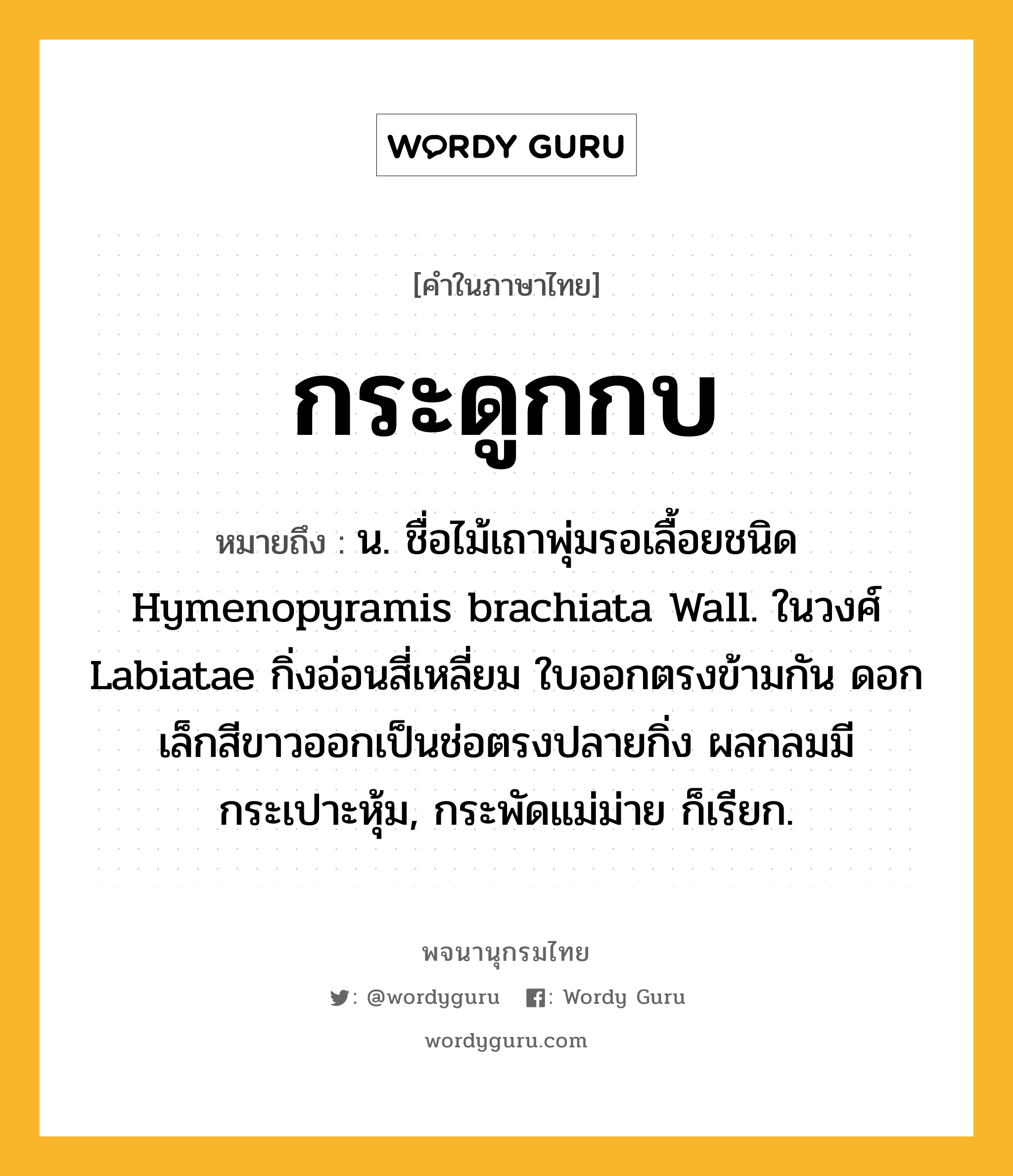 กระดูกกบ ความหมาย หมายถึงอะไร?, คำในภาษาไทย กระดูกกบ หมายถึง น. ชื่อไม้เถาพุ่มรอเลื้อยชนิด Hymenopyramis brachiata Wall. ในวงศ์ Labiatae กิ่งอ่อนสี่เหลี่ยม ใบออกตรงข้ามกัน ดอกเล็กสีขาวออกเป็นช่อตรงปลายกิ่ง ผลกลมมีกระเปาะหุ้ม, กระพัดแม่ม่าย ก็เรียก.