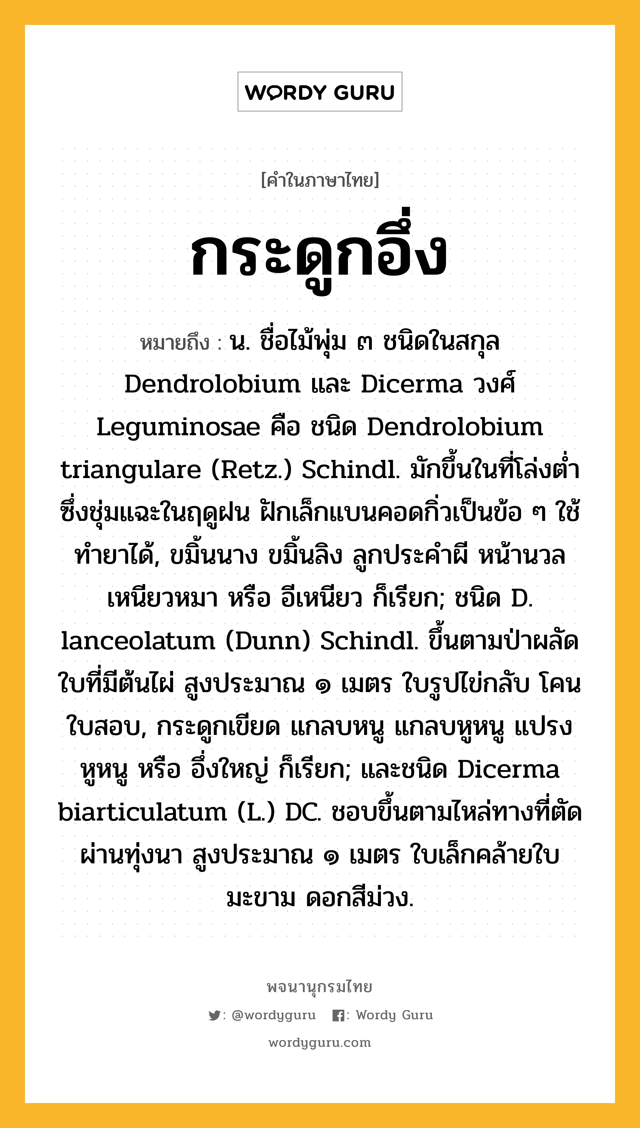 กระดูกอึ่ง ความหมาย หมายถึงอะไร?, คำในภาษาไทย กระดูกอึ่ง หมายถึง น. ชื่อไม้พุ่ม ๓ ชนิดในสกุล Dendrolobium และ Dicerma วงศ์ Leguminosae คือ ชนิด Dendrolobium triangulare (Retz.) Schindl. มักขึ้นในที่โล่งตํ่าซึ่งชุ่มแฉะในฤดูฝน ฝักเล็กแบนคอดกิ่วเป็นข้อ ๆ ใช้ทํายาได้, ขมิ้นนาง ขมิ้นลิง ลูกประคําผี หน้านวล เหนียวหมา หรือ อีเหนียว ก็เรียก; ชนิด D. lanceolatum (Dunn) Schindl. ขึ้นตามป่าผลัดใบที่มีต้นไผ่ สูงประมาณ ๑ เมตร ใบรูปไข่กลับ โคนใบสอบ, กระดูกเขียด แกลบหนู แกลบหูหนู แปรงหูหนู หรือ อึ่งใหญ่ ก็เรียก; และชนิด Dicerma biarticulatum (L.) DC. ชอบขึ้นตามไหล่ทางที่ตัดผ่านทุ่งนา สูงประมาณ ๑ เมตร ใบเล็กคล้ายใบมะขาม ดอกสีม่วง.