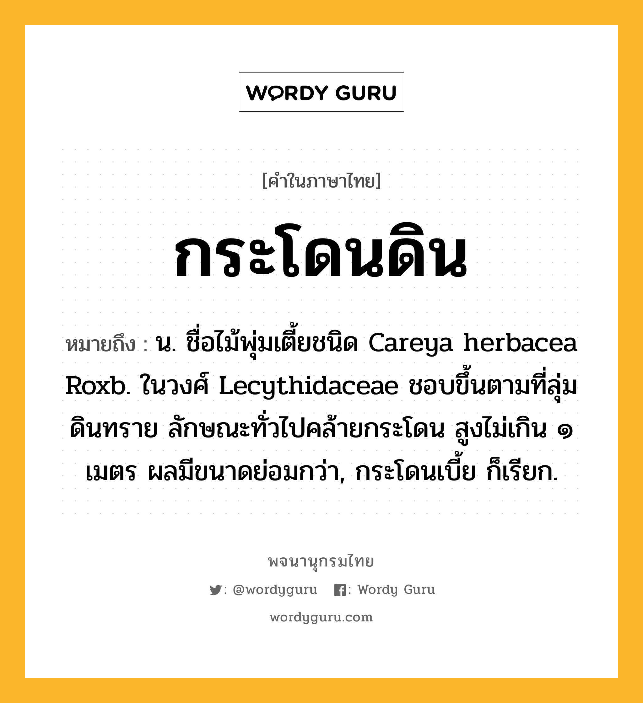 กระโดนดิน ความหมาย หมายถึงอะไร?, คำในภาษาไทย กระโดนดิน หมายถึง น. ชื่อไม้พุ่มเตี้ยชนิด Careya herbacea Roxb. ในวงศ์ Lecythidaceae ชอบขึ้นตามที่ลุ่มดินทราย ลักษณะทั่วไปคล้ายกระโดน สูงไม่เกิน ๑ เมตร ผลมีขนาดย่อมกว่า, กระโดนเบี้ย ก็เรียก.