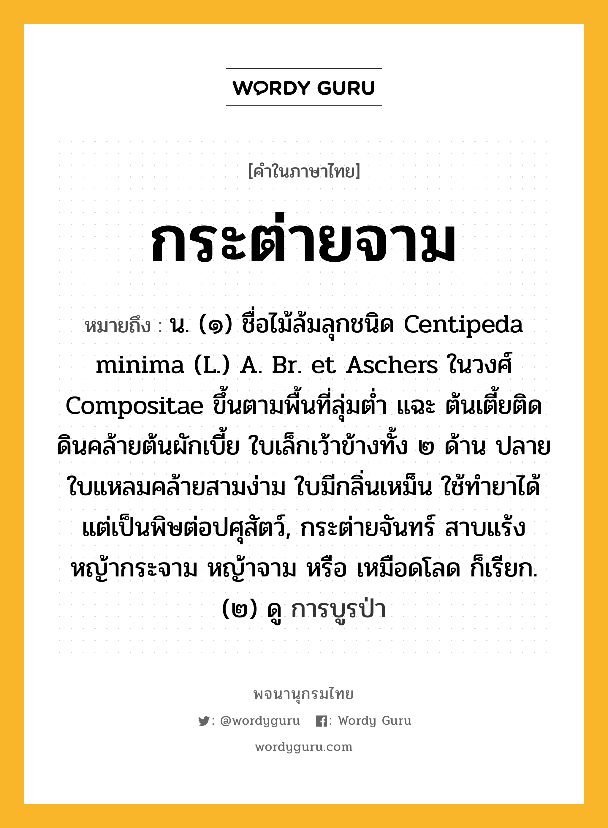 กระต่ายจาม ความหมาย หมายถึงอะไร?, คำในภาษาไทย กระต่ายจาม หมายถึง น. (๑) ชื่อไม้ล้มลุกชนิด Centipeda minima (L.) A. Br. et Aschers ในวงศ์ Compositae ขึ้นตามพื้นที่ลุ่มตํ่า แฉะ ต้นเตี้ยติดดินคล้ายต้นผักเบี้ย ใบเล็กเว้าข้างทั้ง ๒ ด้าน ปลายใบแหลมคล้ายสามง่าม ใบมีกลิ่นเหม็น ใช้ทํายาได้ แต่เป็นพิษต่อปศุสัตว์, กระต่ายจันทร์ สาบแร้ง หญ้ากระจาม หญ้าจาม หรือ เหมือดโลด ก็เรียก. (๒) ดู การบูรป่า