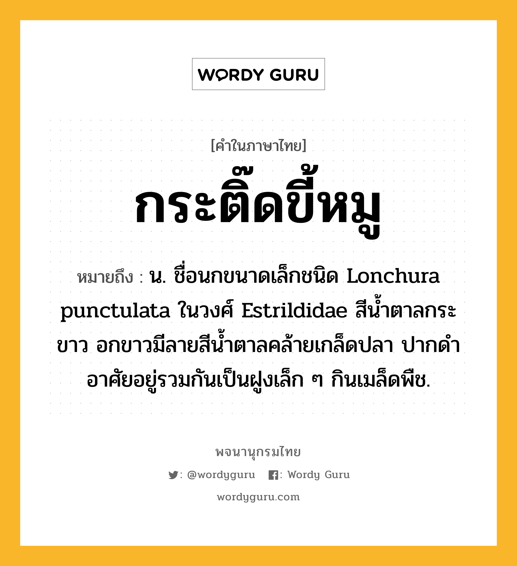 กระติ๊ดขี้หมู ความหมาย หมายถึงอะไร?, คำในภาษาไทย กระติ๊ดขี้หมู หมายถึง น. ชื่อนกขนาดเล็กชนิด Lonchura punctulata ในวงศ์ Estrildidae สีนํ้าตาลกระขาว อกขาวมีลายสีนํ้าตาลคล้ายเกล็ดปลา ปากดําอาศัยอยู่รวมกันเป็นฝูงเล็ก ๆ กินเมล็ดพืช.