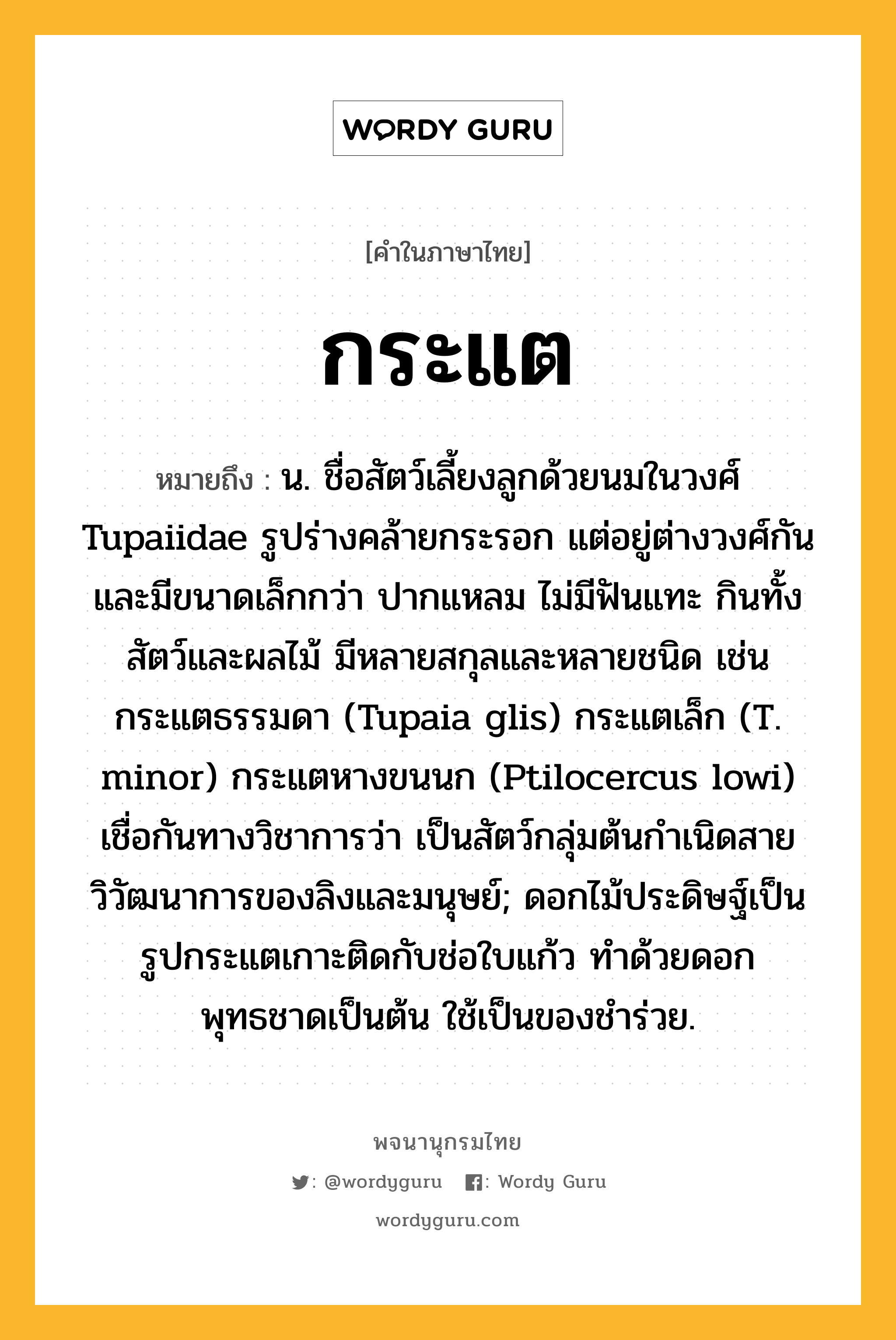 กระแต ความหมาย หมายถึงอะไร?, คำในภาษาไทย กระแต หมายถึง น. ชื่อสัตว์เลี้ยงลูกด้วยนมในวงศ์ Tupaiidae รูปร่างคล้ายกระรอก แต่อยู่ต่างวงศ์กันและมีขนาดเล็กกว่า ปากแหลม ไม่มีฟันแทะ กินทั้งสัตว์และผลไม้ มีหลายสกุลและหลายชนิด เช่น กระแตธรรมดา (Tupaia glis) กระแตเล็ก (T. minor) กระแตหางขนนก (Ptilocercus lowi) เชื่อกันทางวิชาการว่า เป็นสัตว์กลุ่มต้นกําเนิดสายวิวัฒนาการของลิงและมนุษย์; ดอกไม้ประดิษฐ์เป็นรูปกระแตเกาะติดกับช่อใบแก้ว ทำด้วยดอกพุทธชาดเป็นต้น ใช้เป็นของชำร่วย.