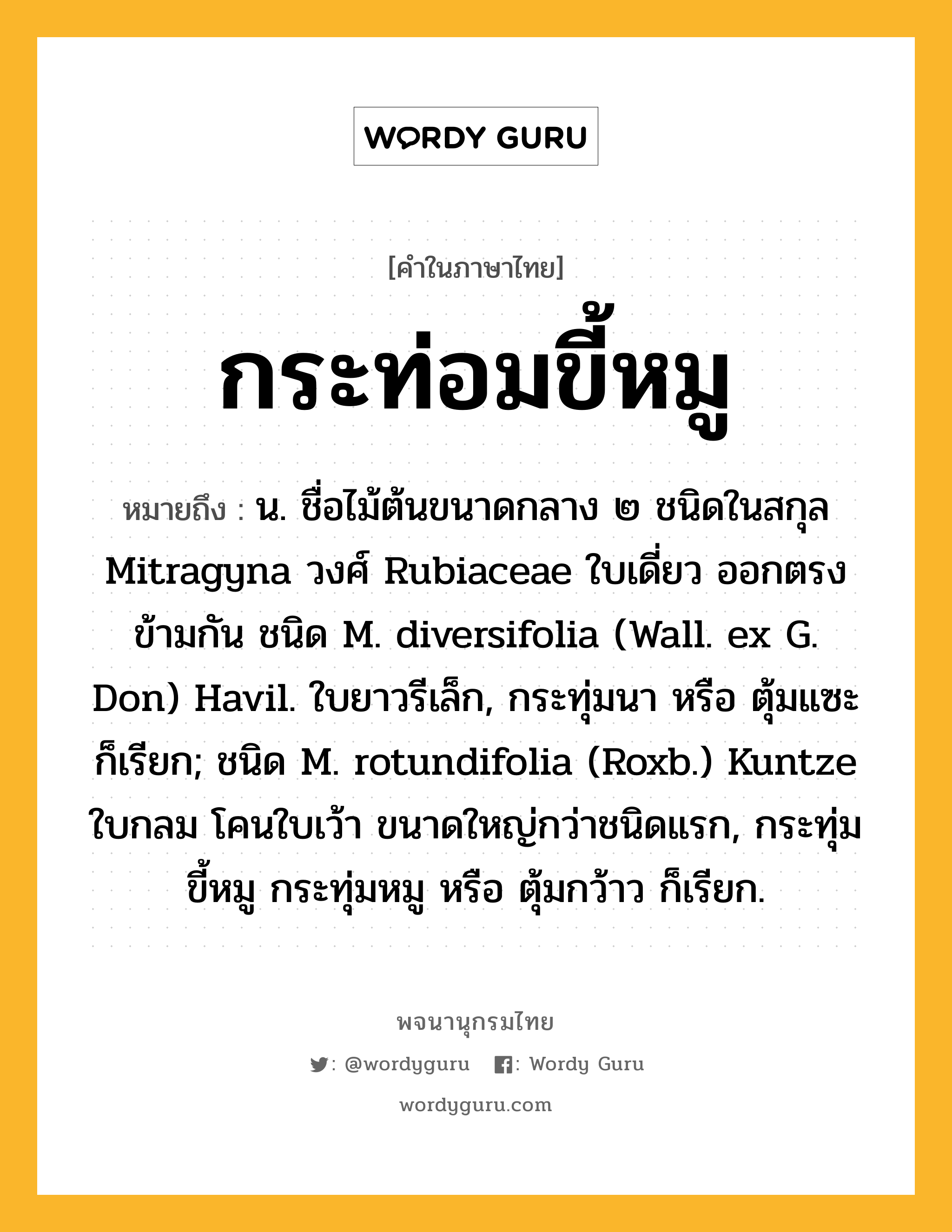 กระท่อมขี้หมู ความหมาย หมายถึงอะไร?, คำในภาษาไทย กระท่อมขี้หมู หมายถึง น. ชื่อไม้ต้นขนาดกลาง ๒ ชนิดในสกุล Mitragyna วงศ์ Rubiaceae ใบเดี่ยว ออกตรงข้ามกัน ชนิด M. diversifolia (Wall. ex G. Don) Havil. ใบยาวรีเล็ก, กระทุ่มนา หรือ ตุ้มแซะ ก็เรียก; ชนิด M. rotundifolia (Roxb.) Kuntze ใบกลม โคนใบเว้า ขนาดใหญ่กว่าชนิดแรก, กระทุ่มขี้หมู กระทุ่มหมู หรือ ตุ้มกว้าว ก็เรียก.