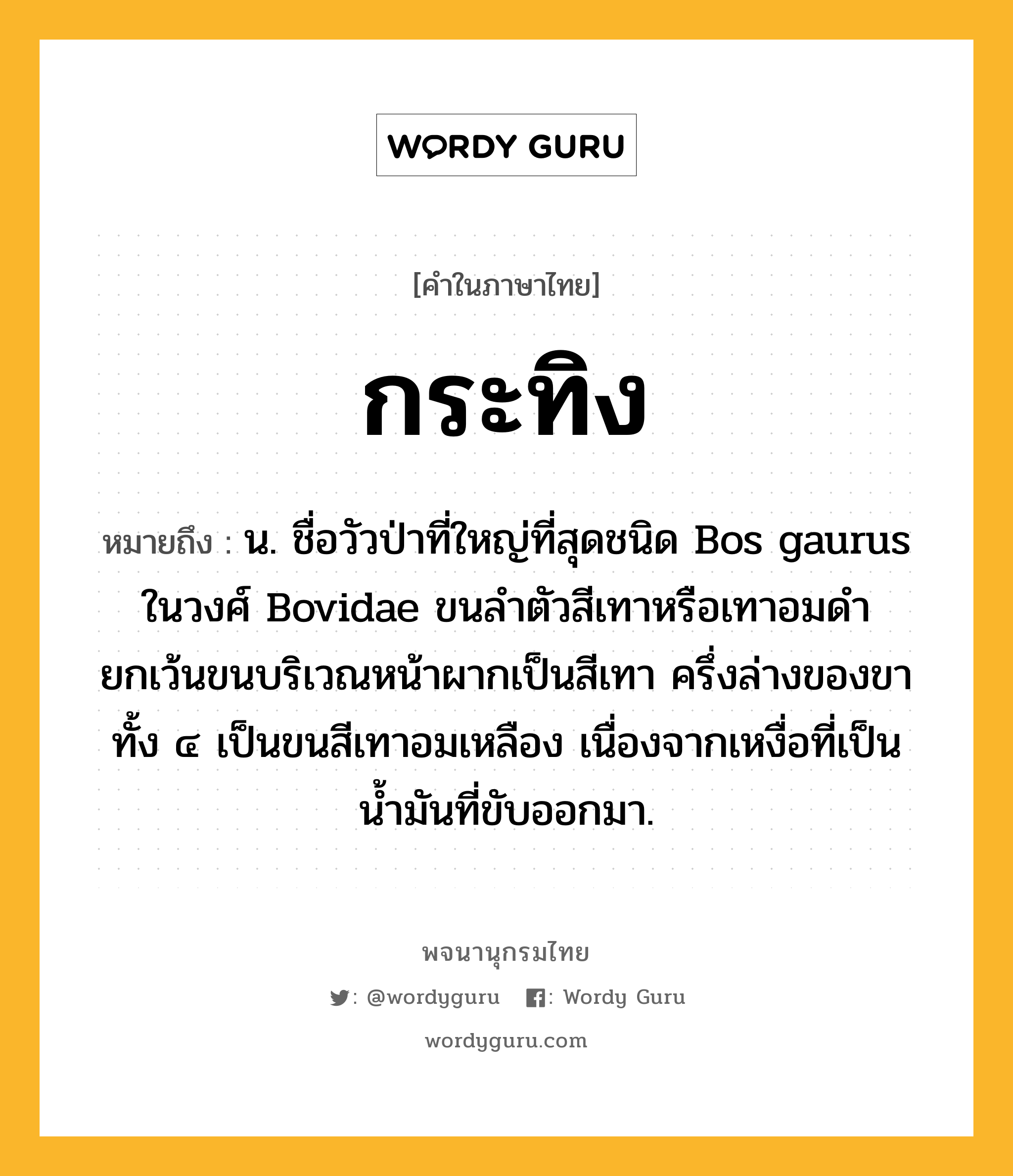 กระทิง ความหมาย หมายถึงอะไร?, คำในภาษาไทย กระทิง หมายถึง น. ชื่อวัวป่าที่ใหญ่ที่สุดชนิด Bos gaurus ในวงศ์ Bovidae ขนลำตัวสีเทาหรือเทาอมดำ ยกเว้นขนบริเวณหน้าผากเป็นสีเทา ครึ่งล่างของขาทั้ง ๔ เป็นขนสีเทาอมเหลือง เนื่องจากเหงื่อที่เป็นน้ำมันที่ขับออกมา.