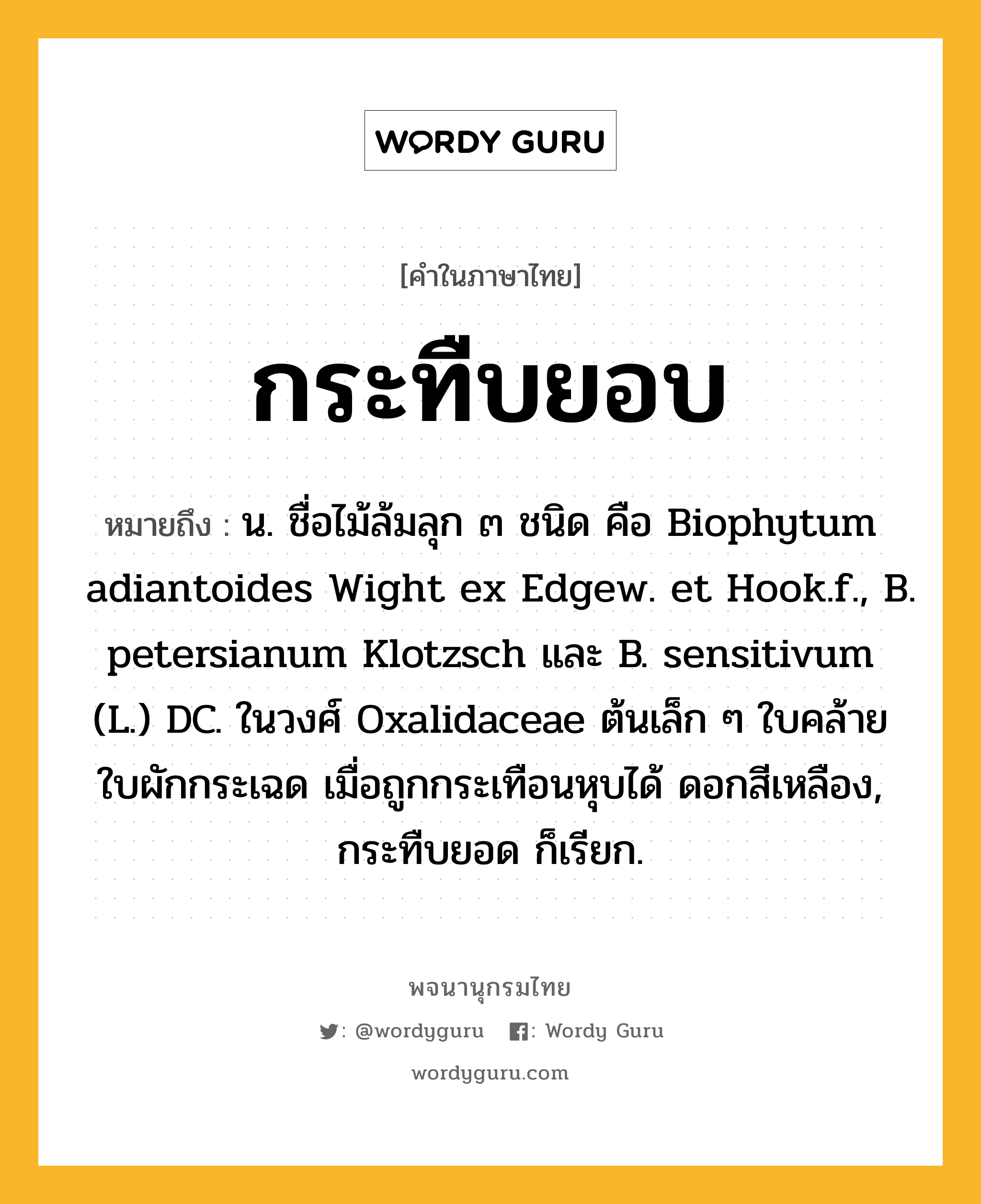 กระทืบยอบ ความหมาย หมายถึงอะไร?, คำในภาษาไทย กระทืบยอบ หมายถึง น. ชื่อไม้ล้มลุก ๓ ชนิด คือ Biophytum adiantoides Wight ex Edgew. et Hook.f., B. petersianum Klotzsch และ B. sensitivum (L.) DC. ในวงศ์ Oxalidaceae ต้นเล็ก ๆ ใบคล้ายใบผักกระเฉด เมื่อถูกกระเทือนหุบได้ ดอกสีเหลือง, กระทืบยอด ก็เรียก.