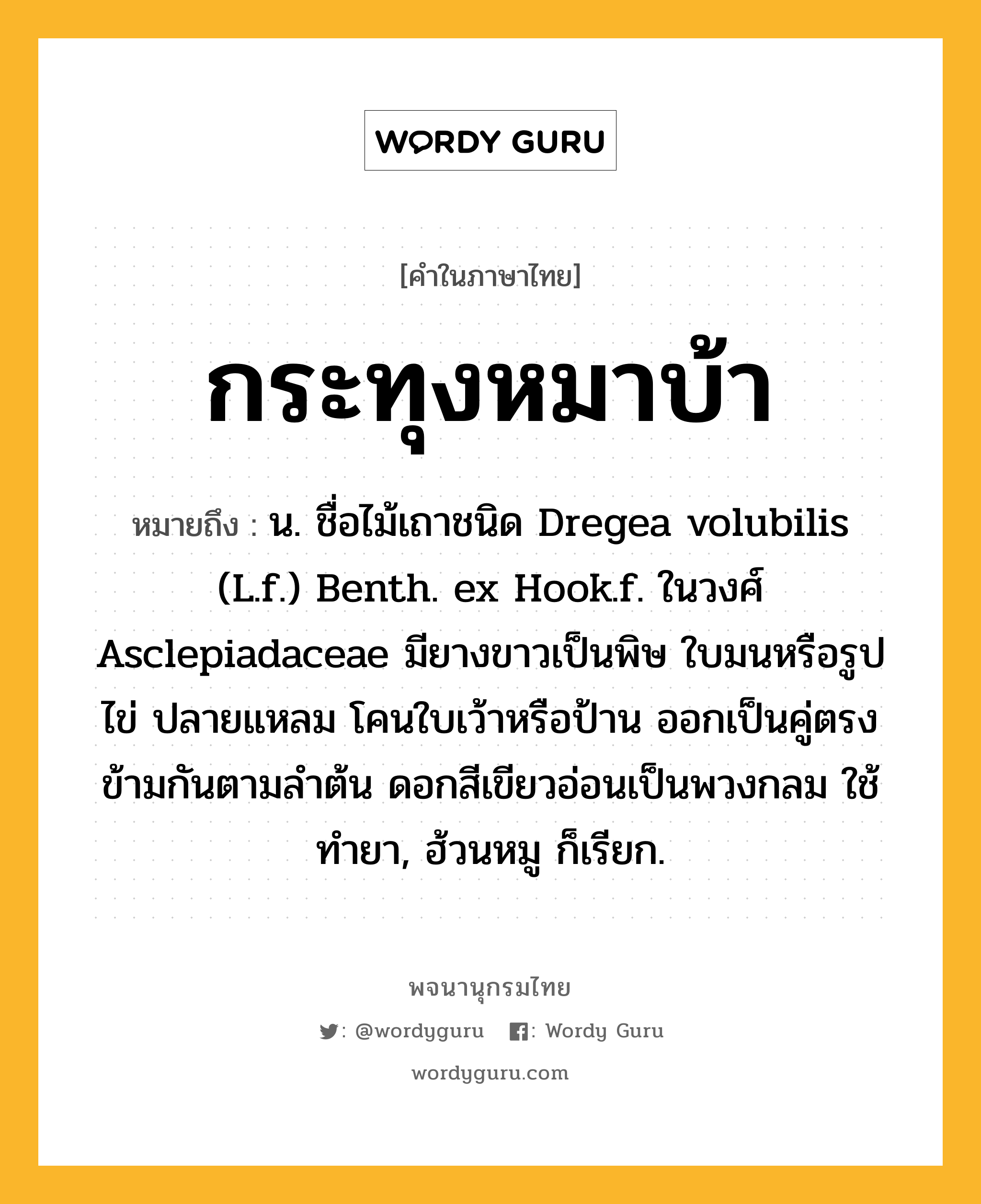 กระทุงหมาบ้า ความหมาย หมายถึงอะไร?, คำในภาษาไทย กระทุงหมาบ้า หมายถึง น. ชื่อไม้เถาชนิด Dregea volubilis (L.f.) Benth. ex Hook.f. ในวงศ์ Asclepiadaceae มียางขาวเป็นพิษ ใบมนหรือรูปไข่ ปลายแหลม โคนใบเว้าหรือป้าน ออกเป็นคู่ตรงข้ามกันตามลําต้น ดอกสีเขียวอ่อนเป็นพวงกลม ใช้ทํายา, ฮ้วนหมู ก็เรียก.