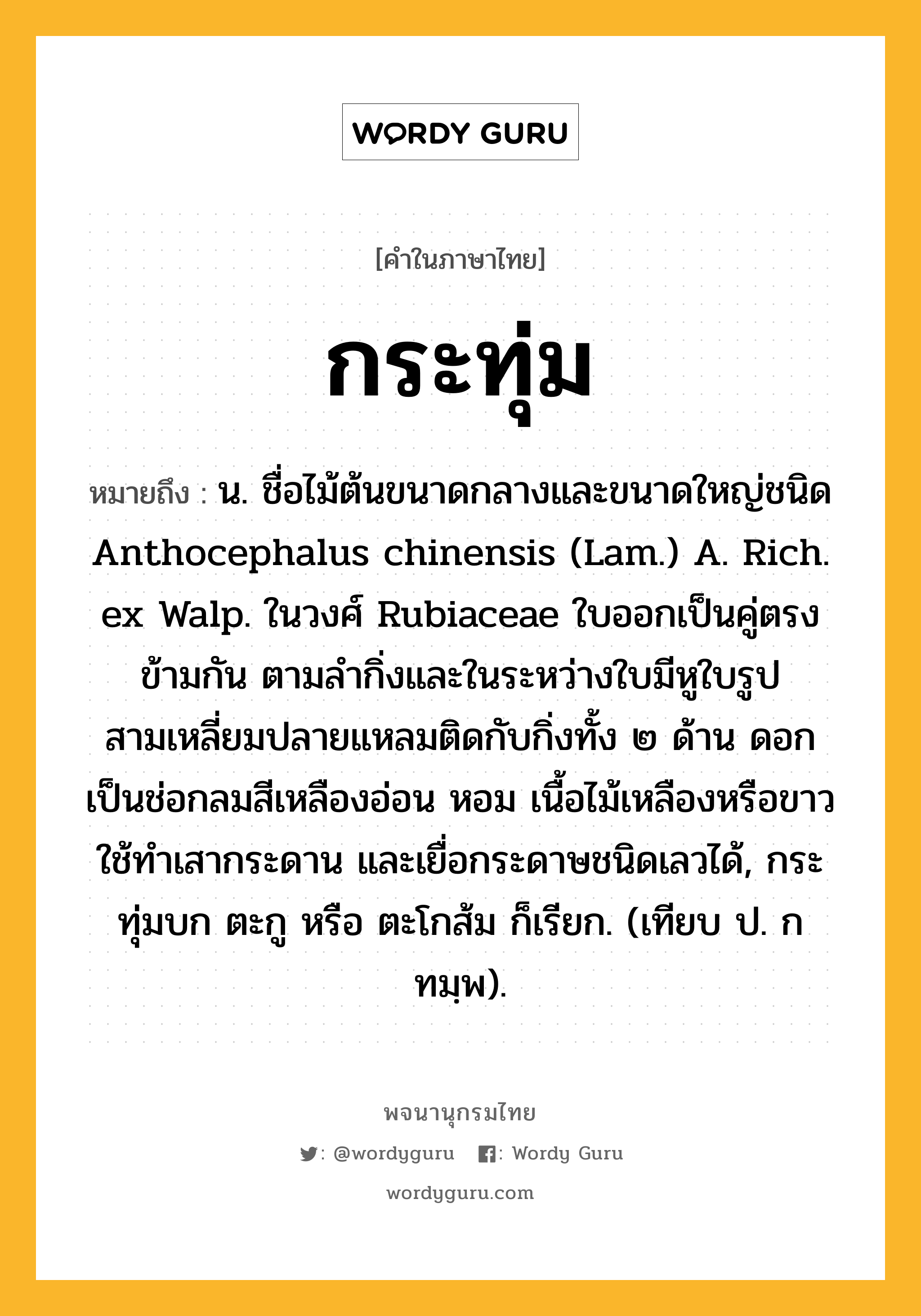 กระทุ่ม ความหมาย หมายถึงอะไร?, คำในภาษาไทย กระทุ่ม หมายถึง น. ชื่อไม้ต้นขนาดกลางและขนาดใหญ่ชนิด Anthocephalus chinensis (Lam.) A. Rich. ex Walp. ในวงศ์ Rubiaceae ใบออกเป็นคู่ตรงข้ามกัน ตามลํากิ่งและในระหว่างใบมีหูใบรูปสามเหลี่ยมปลายแหลมติดกับกิ่งทั้ง ๒ ด้าน ดอกเป็นช่อกลมสีเหลืองอ่อน หอม เนื้อไม้เหลืองหรือขาว ใช้ทําเสากระดาน และเยื่อกระดาษชนิดเลวได้, กระทุ่มบก ตะกู หรือ ตะโกส้ม ก็เรียก. (เทียบ ป. กทมฺพ).