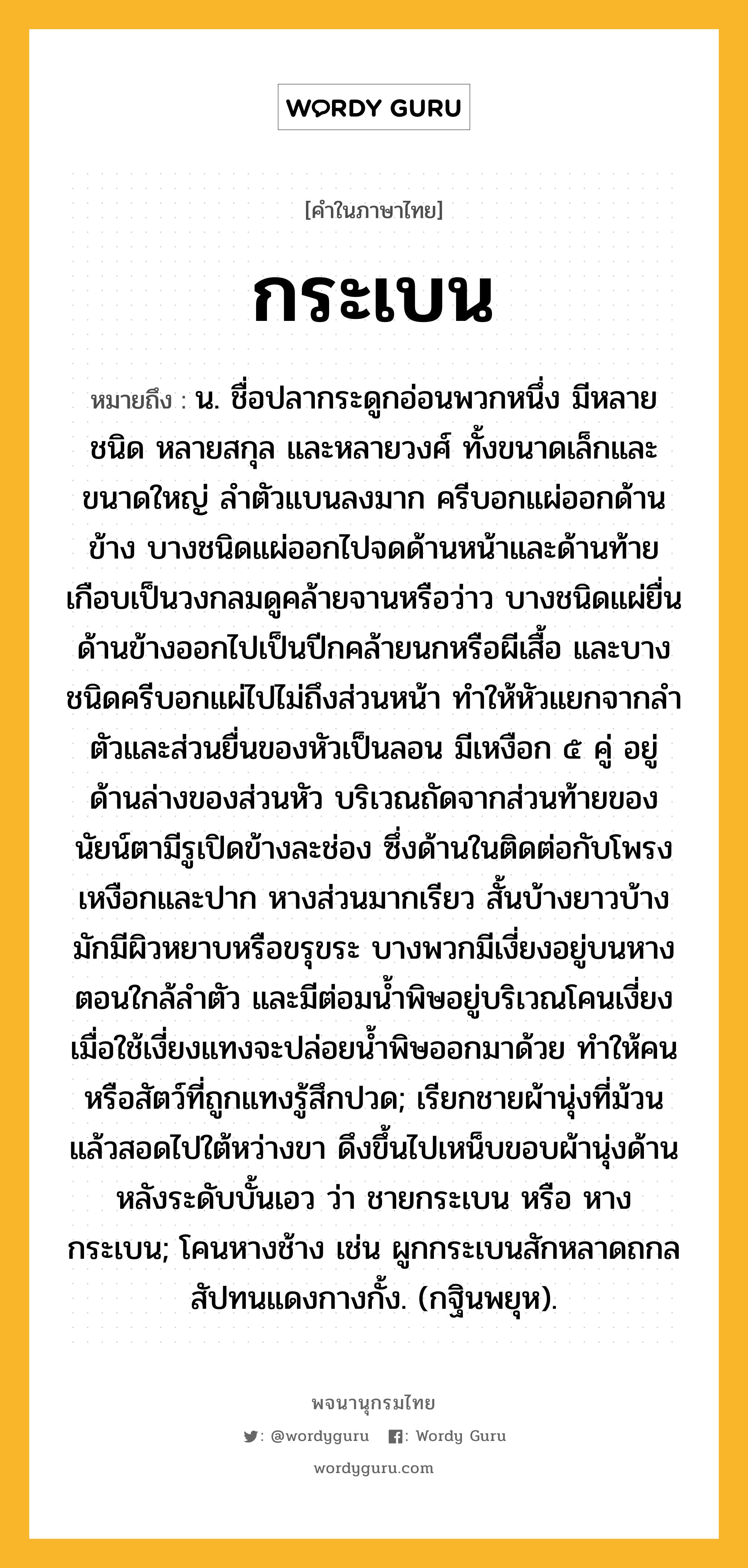 กระเบน ความหมาย หมายถึงอะไร?, คำในภาษาไทย กระเบน หมายถึง น. ชื่อปลากระดูกอ่อนพวกหนึ่ง มีหลายชนิด หลายสกุล และหลายวงศ์ ทั้งขนาดเล็กและขนาดใหญ่ ลําตัวแบนลงมาก ครีบอกแผ่ออกด้านข้าง บางชนิดแผ่ออกไปจดด้านหน้าและด้านท้ายเกือบเป็นวงกลมดูคล้ายจานหรือว่าว บางชนิดแผ่ยื่นด้านข้างออกไปเป็นปีกคล้ายนกหรือผีเสื้อ และบางชนิดครีบอกแผ่ไปไม่ถึงส่วนหน้า ทำให้หัวแยกจากลำตัวและส่วนยื่นของหัวเป็นลอน มีเหงือก ๕ คู่ อยู่ด้านล่างของส่วนหัว บริเวณถัดจากส่วนท้ายของนัยน์ตามีรูเปิดข้างละช่อง ซึ่งด้านในติดต่อกับโพรงเหงือกและปาก หางส่วนมากเรียว สั้นบ้างยาวบ้าง มักมีผิวหยาบหรือขรุขระ บางพวกมีเงี่ยงอยู่บนหางตอนใกล้ลำตัว และมีต่อมน้ำพิษอยู่บริเวณโคนเงี่ยง เมื่อใช้เงี่ยงแทงจะปล่อยน้ำพิษออกมาด้วย ทำให้คนหรือสัตว์ที่ถูกแทงรู้สึกปวด; เรียกชายผ้านุ่งที่ม้วนแล้วสอดไปใต้หว่างขา ดึงขึ้นไปเหน็บขอบผ้านุ่งด้านหลังระดับบั้นเอว ว่า ชายกระเบน หรือ หางกระเบน; โคนหางช้าง เช่น ผูกกระเบนสักหลาดถกล สัปทนแดงกางกั้ง. (กฐินพยุห).