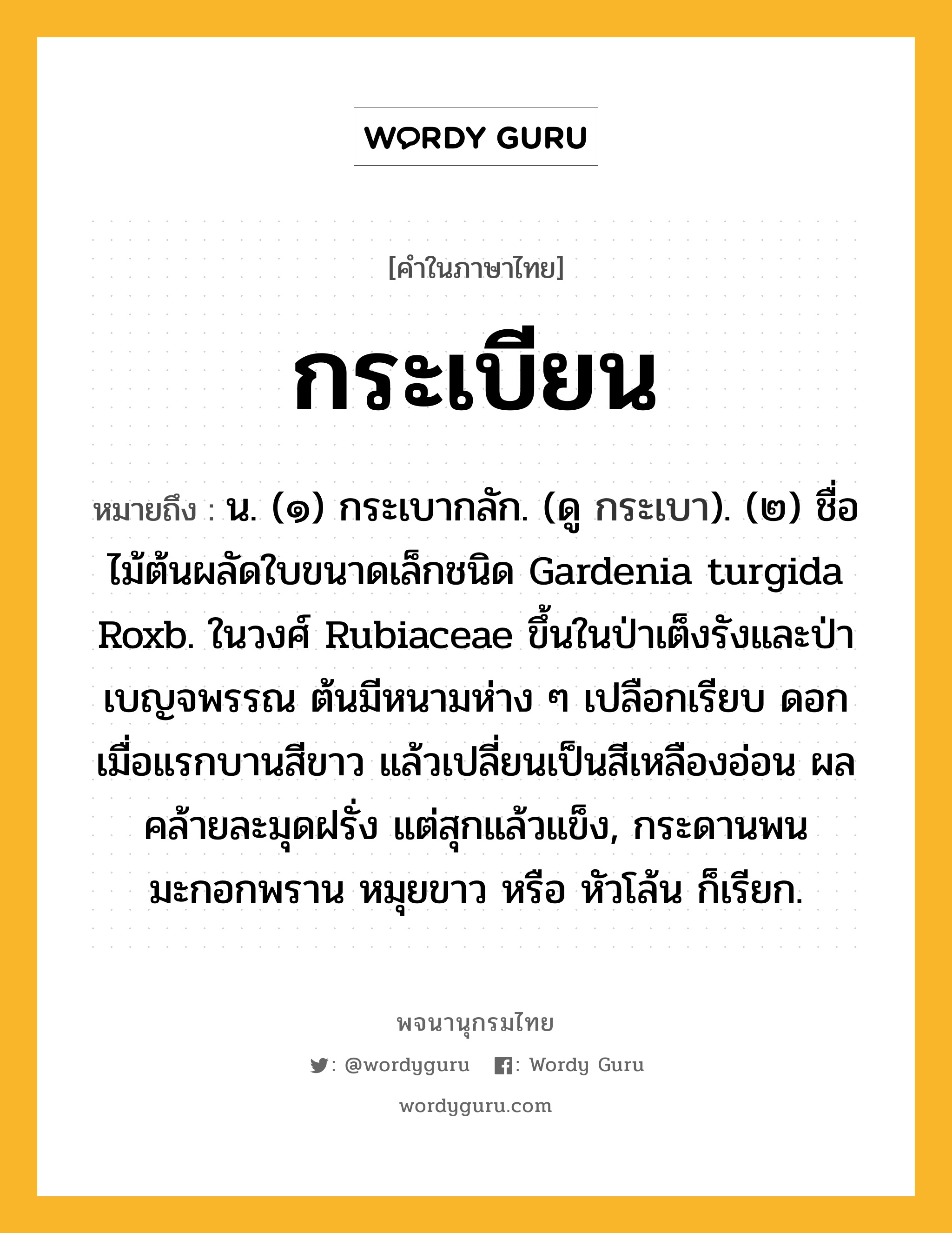 กระเบียน ความหมาย หมายถึงอะไร?, คำในภาษาไทย กระเบียน หมายถึง น. (๑) กระเบากลัก. (ดู กระเบา). (๒) ชื่อไม้ต้นผลัดใบขนาดเล็กชนิด Gardenia turgida Roxb. ในวงศ์ Rubiaceae ขึ้นในป่าเต็งรังและป่าเบญจพรรณ ต้นมีหนามห่าง ๆ เปลือกเรียบ ดอกเมื่อแรกบานสีขาว แล้วเปลี่ยนเป็นสีเหลืองอ่อน ผลคล้ายละมุดฝรั่ง แต่สุกแล้วแข็ง, กระดานพน มะกอกพราน หมุยขาว หรือ หัวโล้น ก็เรียก.