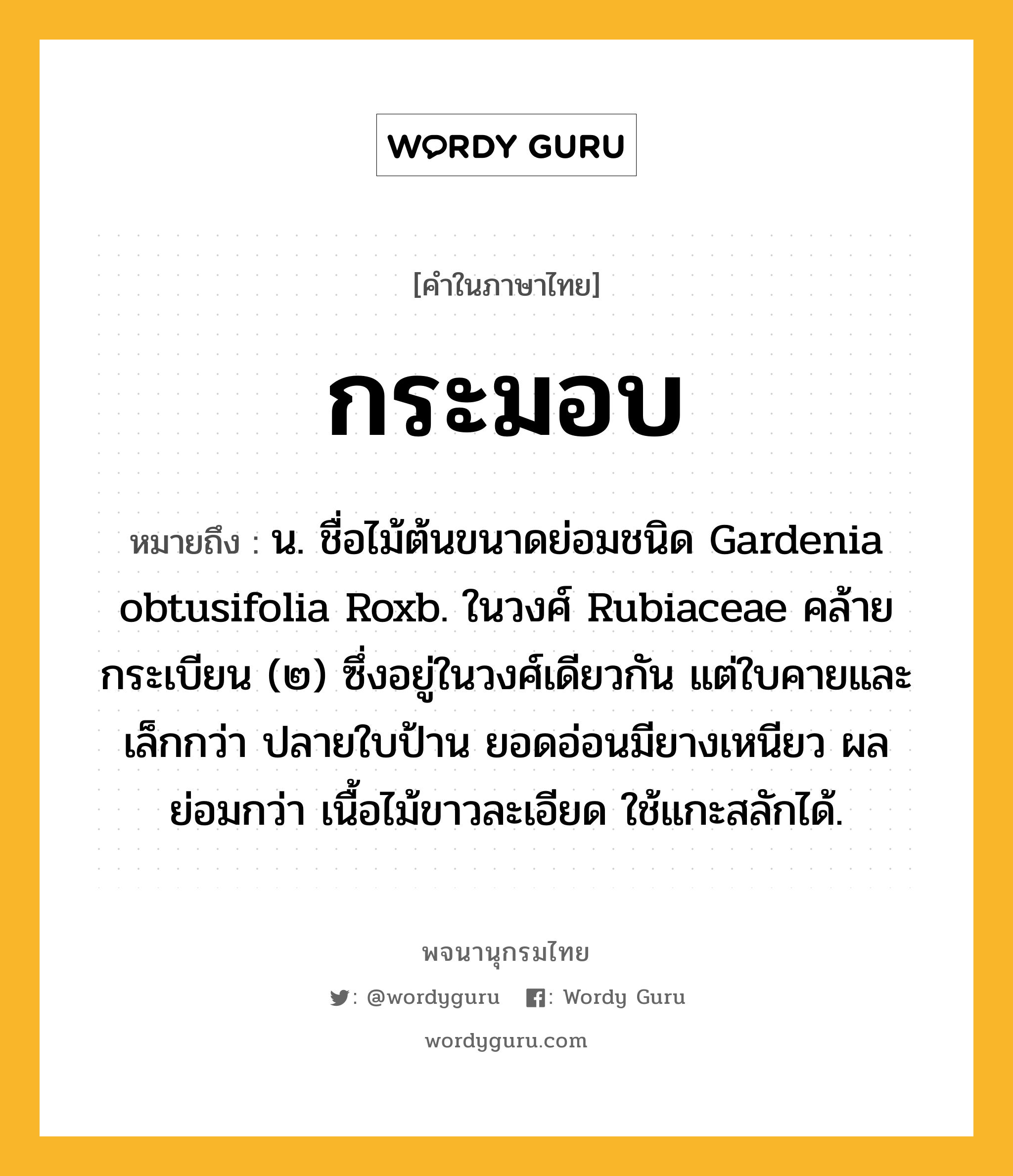 กระมอบ ความหมาย หมายถึงอะไร?, คำในภาษาไทย กระมอบ หมายถึง น. ชื่อไม้ต้นขนาดย่อมชนิด Gardenia obtusifolia Roxb. ในวงศ์ Rubiaceae คล้ายกระเบียน (๒) ซึ่งอยู่ในวงศ์เดียวกัน แต่ใบคายและเล็กกว่า ปลายใบป้าน ยอดอ่อนมียางเหนียว ผลย่อมกว่า เนื้อไม้ขาวละเอียด ใช้แกะสลักได้.