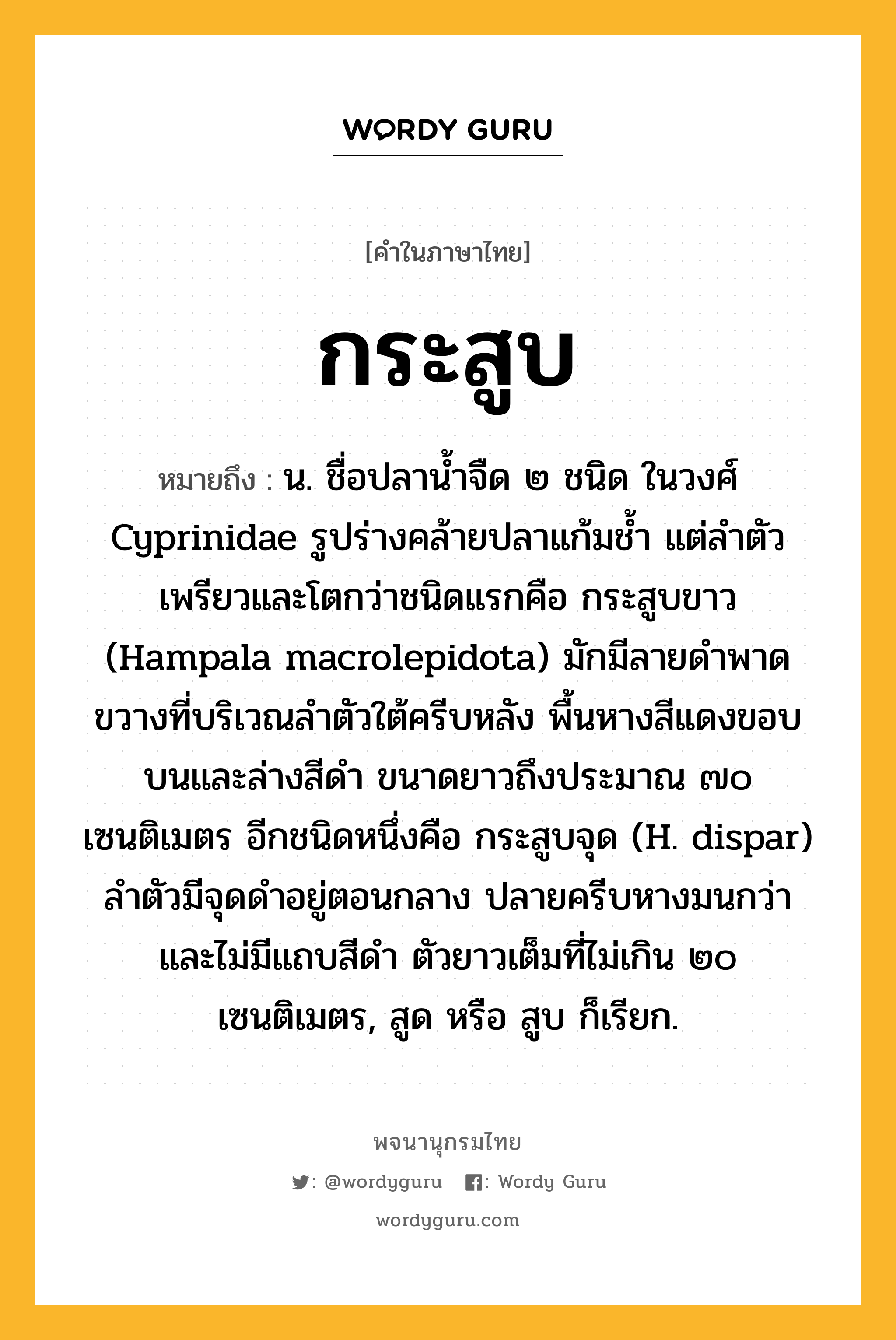 กระสูบ ความหมาย หมายถึงอะไร?, คำในภาษาไทย กระสูบ หมายถึง น. ชื่อปลานํ้าจืด ๒ ชนิด ในวงศ์ Cyprinidae รูปร่างคล้ายปลาแก้มชํ้า แต่ลําตัวเพรียวและโตกว่าชนิดแรกคือ กระสูบขาว (Hampala macrolepidota) มักมีลายดําพาดขวางที่บริเวณลําตัวใต้ครีบหลัง พื้นหางสีแดงขอบบนและล่างสีดํา ขนาดยาวถึงประมาณ ๗๐ เซนติเมตร อีกชนิดหนึ่งคือ กระสูบจุด (H. dispar) ลําตัวมีจุดดําอยู่ตอนกลาง ปลายครีบหางมนกว่า และไม่มีแถบสีดํา ตัวยาวเต็มที่ไม่เกิน ๒๐ เซนติเมตร, สูด หรือ สูบ ก็เรียก.