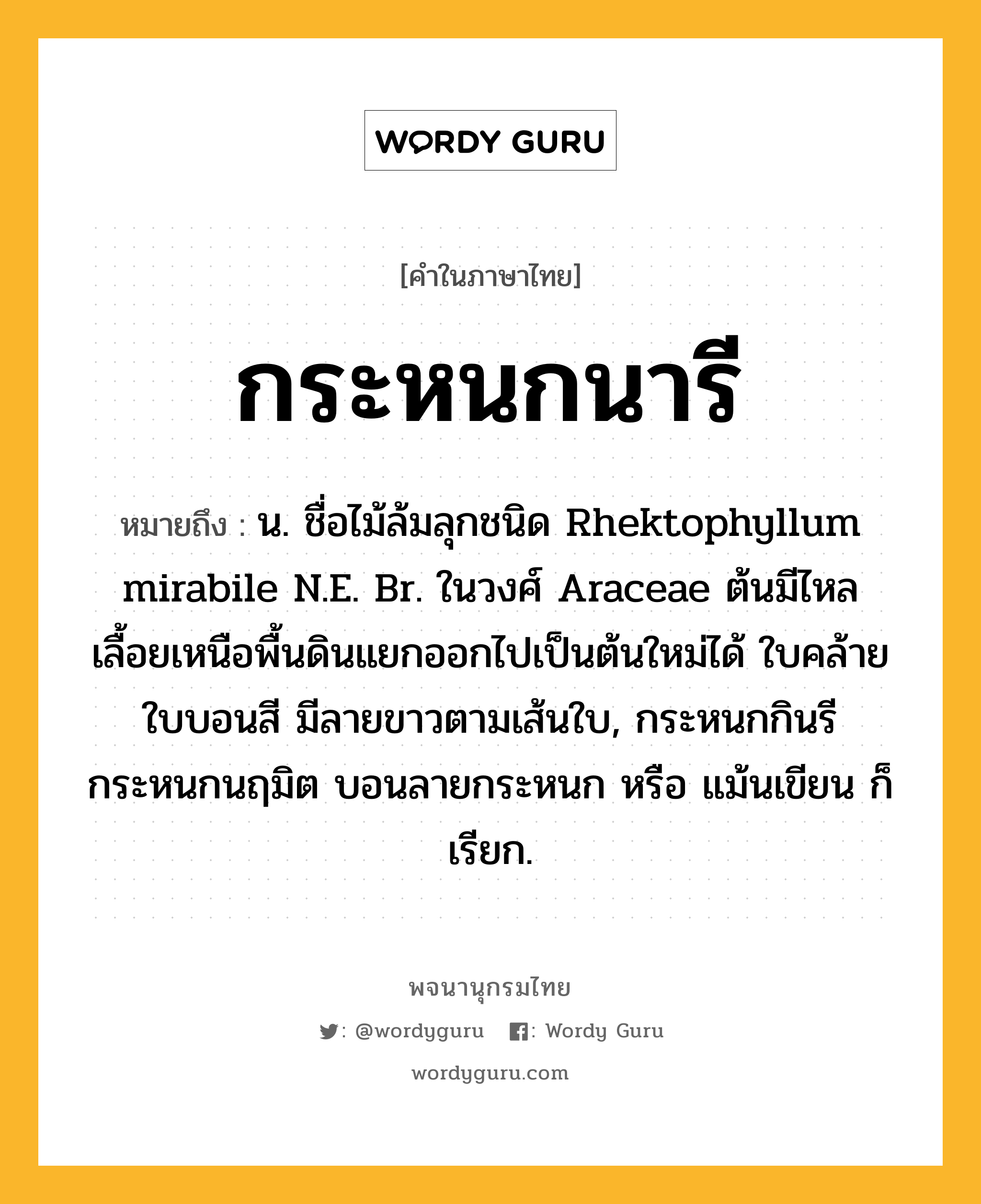 กระหนกนารี ความหมาย หมายถึงอะไร?, คำในภาษาไทย กระหนกนารี หมายถึง น. ชื่อไม้ล้มลุกชนิด Rhektophyllum mirabile N.E. Br. ในวงศ์ Araceae ต้นมีไหลเลื้อยเหนือพื้นดินแยกออกไปเป็นต้นใหม่ได้ ใบคล้ายใบบอนสี มีลายขาวตามเส้นใบ, กระหนกกินรี กระหนกนฤมิต บอนลายกระหนก หรือ แม้นเขียน ก็เรียก.