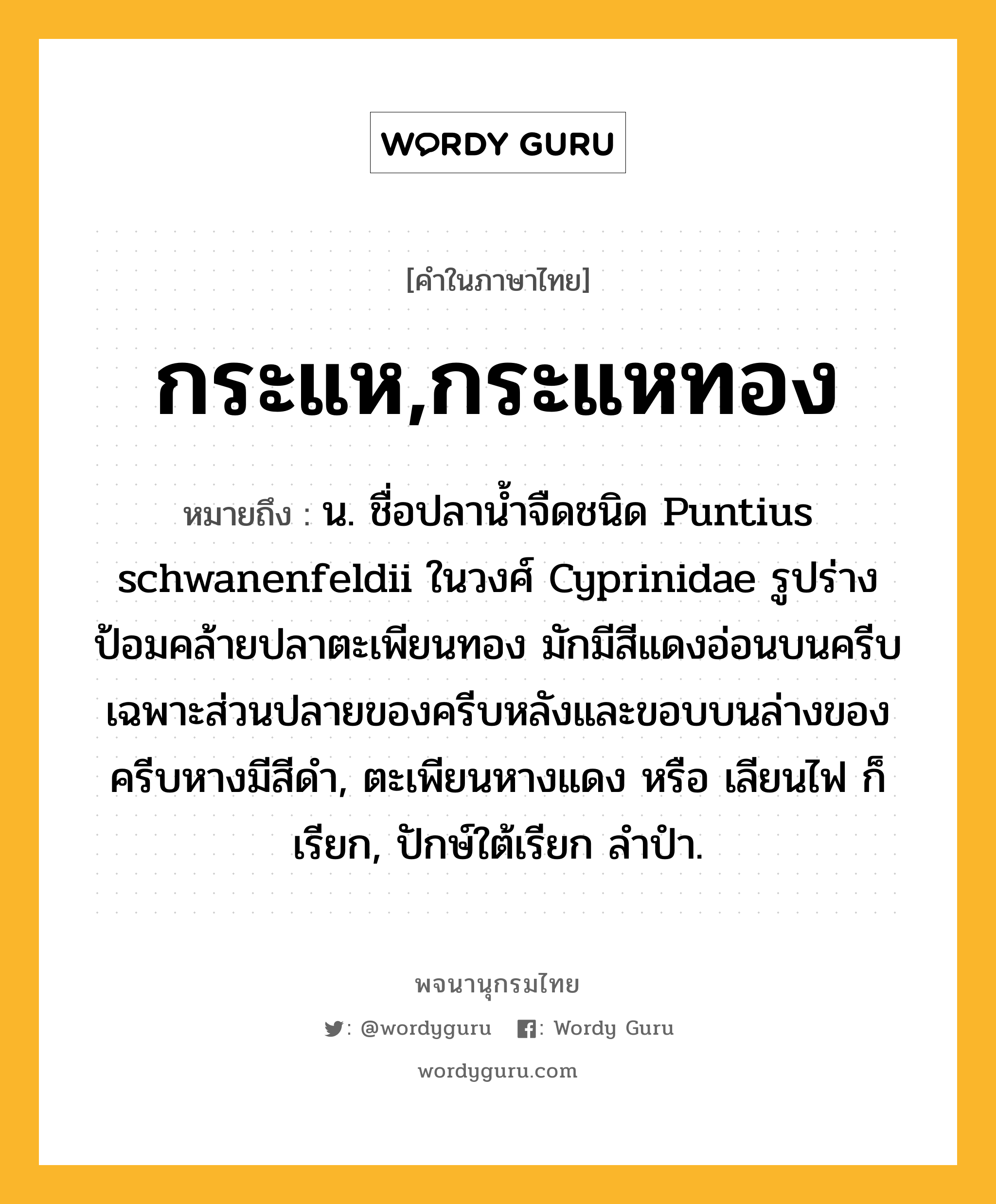 กระแห,กระแหทอง ความหมาย หมายถึงอะไร?, คำในภาษาไทย กระแห,กระแหทอง หมายถึง น. ชื่อปลานํ้าจืดชนิด Puntius schwanenfeldii ในวงศ์ Cyprinidae รูปร่างป้อมคล้ายปลาตะเพียนทอง มักมีสีแดงอ่อนบนครีบ เฉพาะส่วนปลายของครีบหลังและขอบบนล่างของครีบหางมีสีดํา, ตะเพียนหางแดง หรือ เลียนไฟ ก็เรียก, ปักษ์ใต้เรียก ลำปำ.