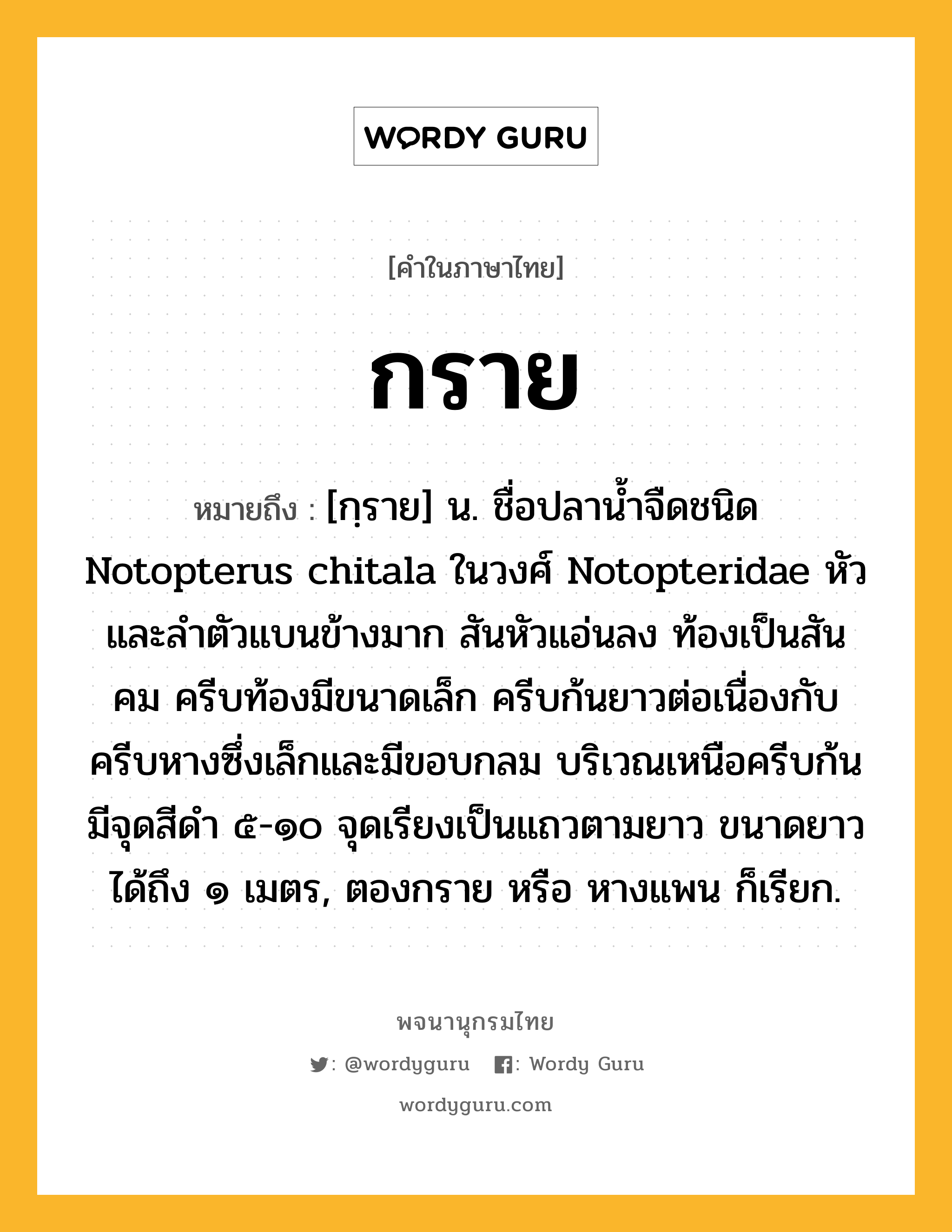 กราย ความหมาย หมายถึงอะไร?, คำในภาษาไทย กราย หมายถึง [กฺราย] น. ชื่อปลานํ้าจืดชนิด Notopterus chitala ในวงศ์ Notopteridae หัวและลําตัวแบนข้างมาก สันหัวแอ่นลง ท้องเป็นสันคม ครีบท้องมีขนาดเล็ก ครีบก้นยาวต่อเนื่องกับครีบหางซึ่งเล็กและมีขอบกลม บริเวณเหนือครีบก้นมีจุดสีดํา ๕-๑๐ จุดเรียงเป็นแถวตามยาว ขนาดยาวได้ถึง ๑ เมตร, ตองกราย หรือ หางแพน ก็เรียก.