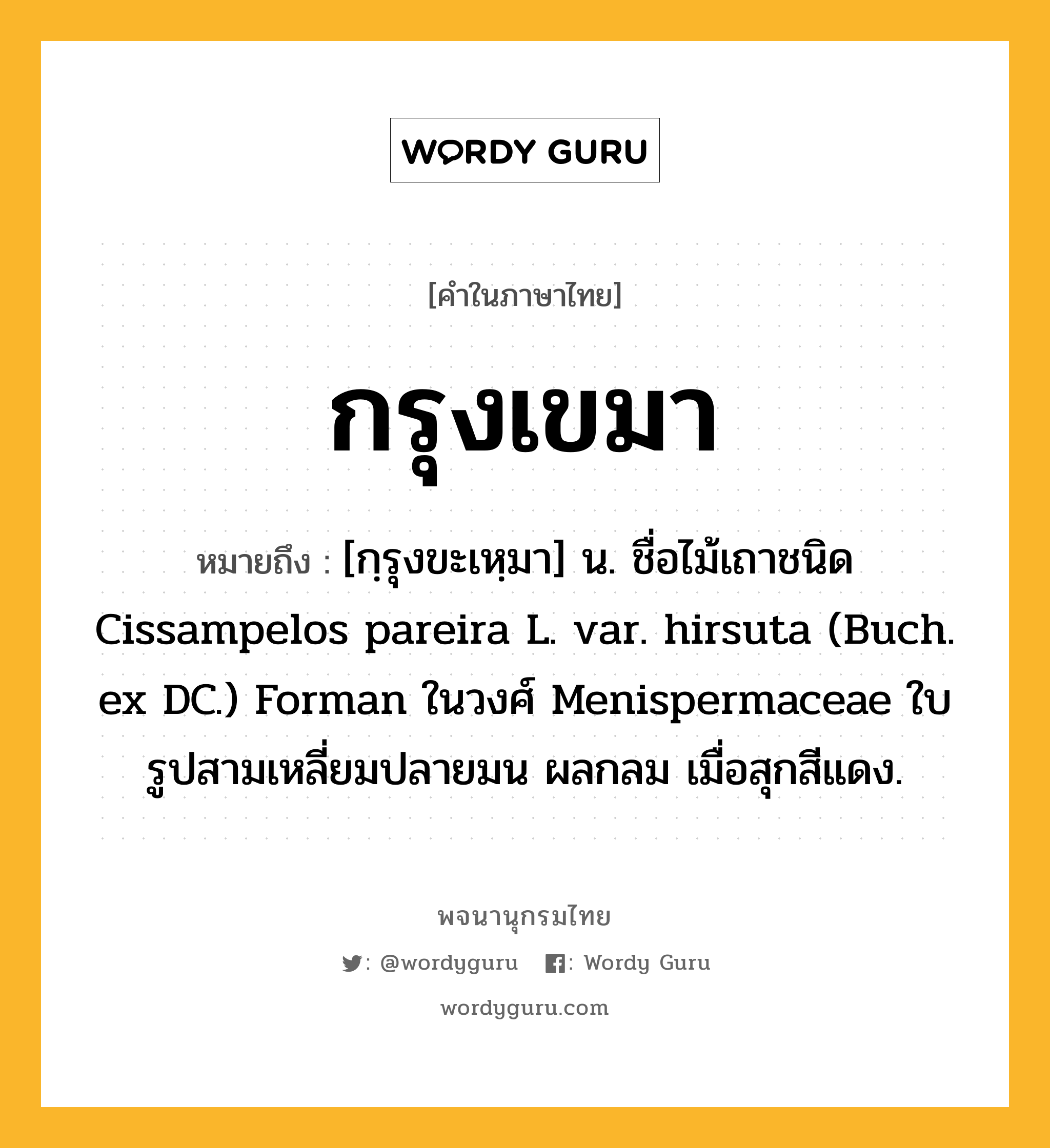 กรุงเขมา ความหมาย หมายถึงอะไร?, คำในภาษาไทย กรุงเขมา หมายถึง [กฺรุงขะเหฺมา] น. ชื่อไม้เถาชนิด Cissampelos pareira L. var. hirsuta (Buch. ex DC.) Forman ในวงศ์ Menispermaceae ใบรูปสามเหลี่ยมปลายมน ผลกลม เมื่อสุกสีแดง.