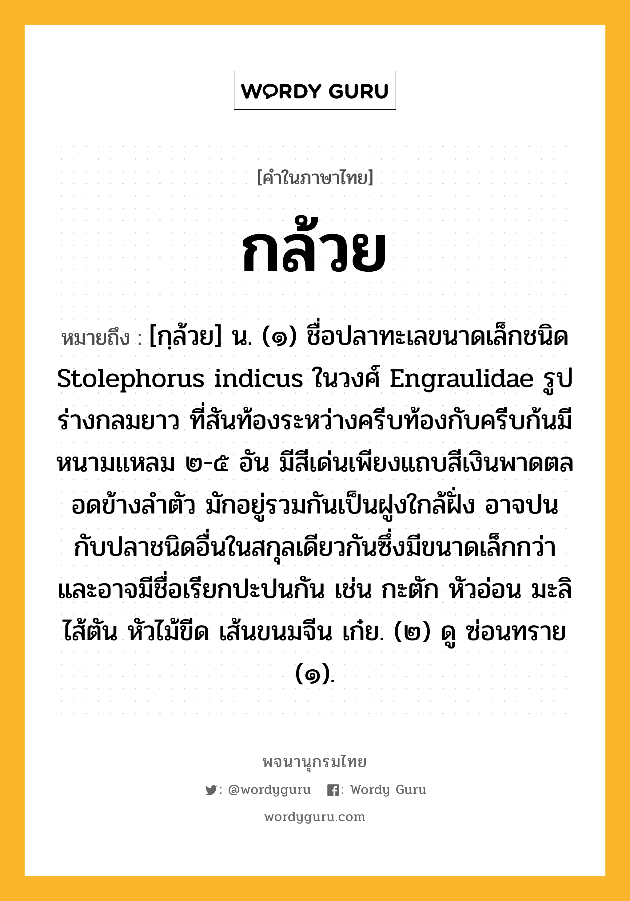 กล้วย ความหมาย หมายถึงอะไร?, คำในภาษาไทย กล้วย หมายถึง [กฺล้วย] น. (๑) ชื่อปลาทะเลขนาดเล็กชนิด Stolephorus indicus ในวงศ์ Engraulidae รูปร่างกลมยาว ที่สันท้องระหว่างครีบท้องกับครีบก้นมีหนามแหลม ๒-๕ อัน มีสีเด่นเพียงแถบสีเงินพาดตลอดข้างลําตัว มักอยู่รวมกันเป็นฝูงใกล้ฝั่ง อาจปนกับปลาชนิดอื่นในสกุลเดียวกันซึ่งมีขนาดเล็กกว่า และอาจมีชื่อเรียกปะปนกัน เช่น กะตัก หัวอ่อน มะลิ ไส้ตัน หัวไม้ขีด เส้นขนมจีน เก๋ย. (๒) ดู ซ่อนทราย (๑).