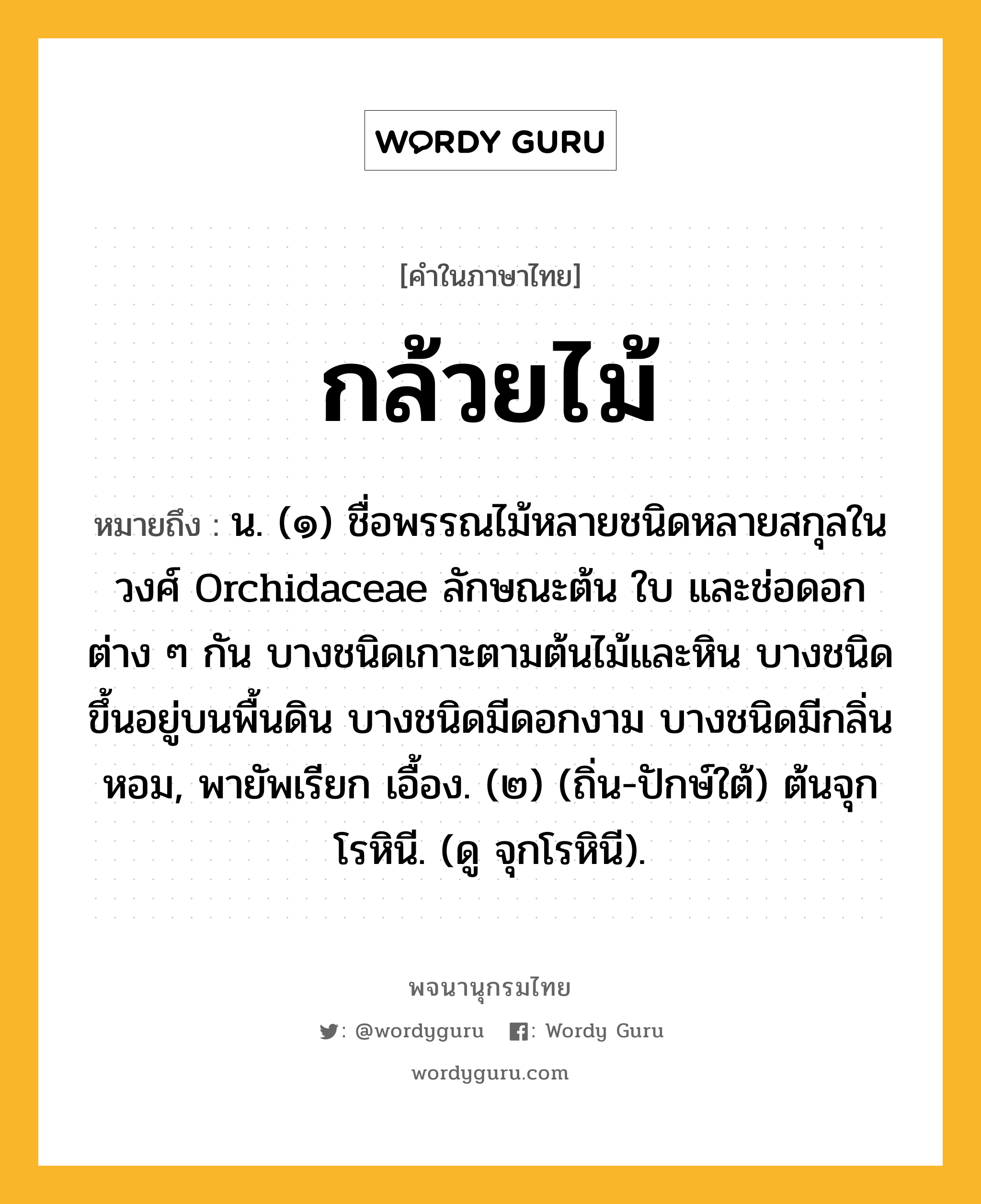 กล้วยไม้ ความหมาย หมายถึงอะไร?, คำในภาษาไทย กล้วยไม้ หมายถึง น. (๑) ชื่อพรรณไม้หลายชนิดหลายสกุลในวงศ์ Orchidaceae ลักษณะต้น ใบ และช่อดอกต่าง ๆ กัน บางชนิดเกาะตามต้นไม้และหิน บางชนิดขึ้นอยู่บนพื้นดิน บางชนิดมีดอกงาม บางชนิดมีกลิ่นหอม, พายัพเรียก เอื้อง. (๒) (ถิ่น-ปักษ์ใต้) ต้นจุกโรหินี. (ดู จุกโรหินี).