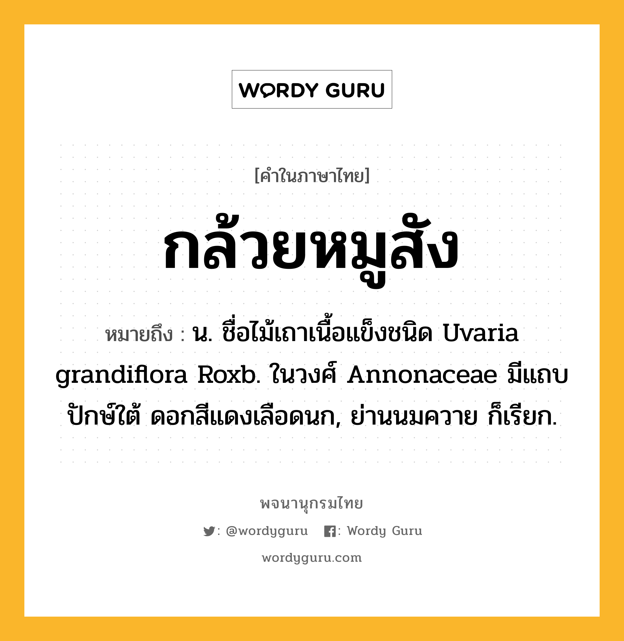 กล้วยหมูสัง ความหมาย หมายถึงอะไร?, คำในภาษาไทย กล้วยหมูสัง หมายถึง น. ชื่อไม้เถาเนื้อแข็งชนิด Uvaria grandiflora Roxb. ในวงศ์ Annonaceae มีแถบปักษ์ใต้ ดอกสีแดงเลือดนก, ย่านนมควาย ก็เรียก.