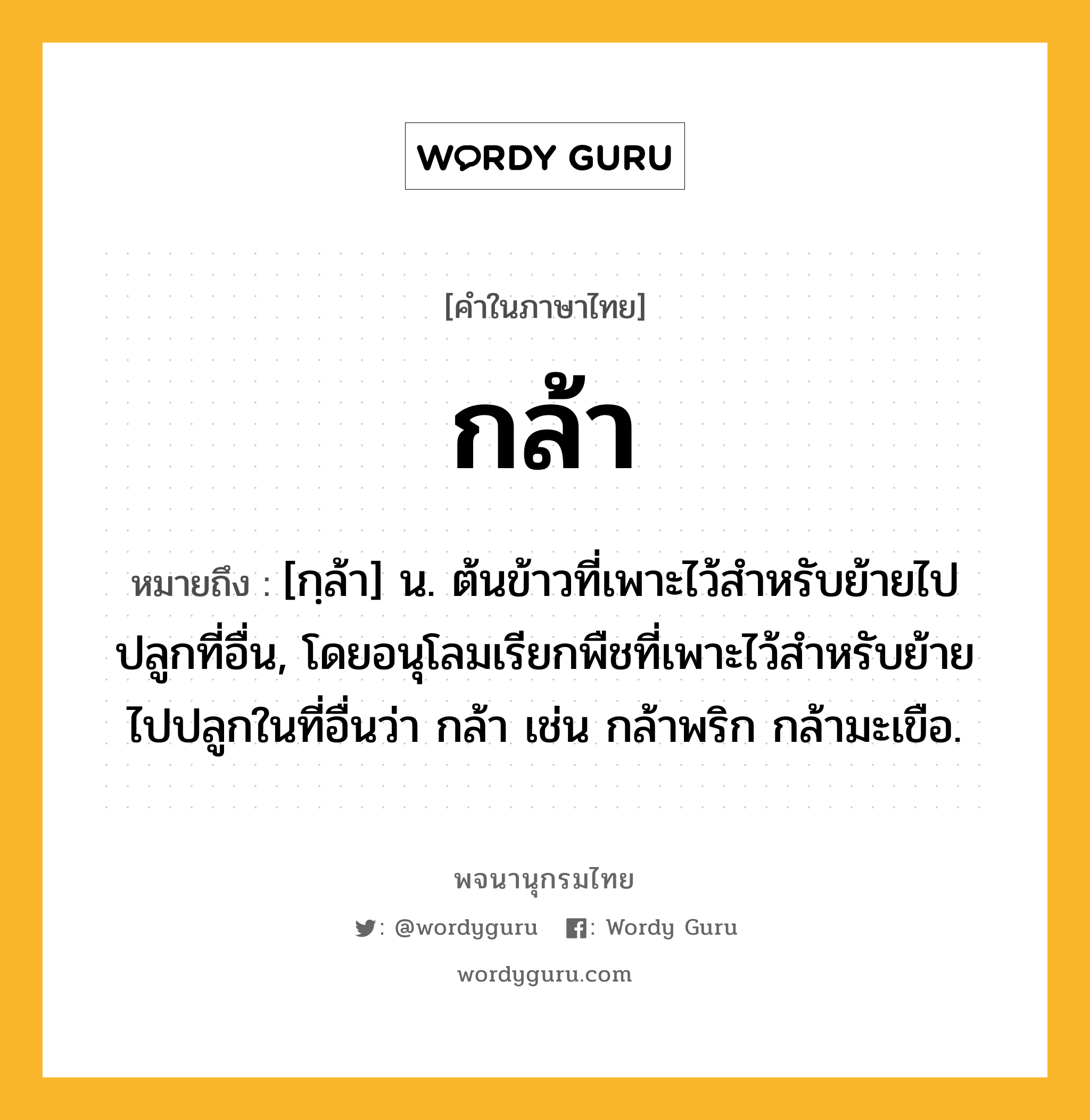 กล้า ความหมาย หมายถึงอะไร?, คำในภาษาไทย กล้า หมายถึง [กฺล้า] น. ต้นข้าวที่เพาะไว้สําหรับย้ายไปปลูกที่อื่น, โดยอนุโลมเรียกพืชที่เพาะไว้สําหรับย้ายไปปลูกในที่อื่นว่า กล้า เช่น กล้าพริก กล้ามะเขือ.