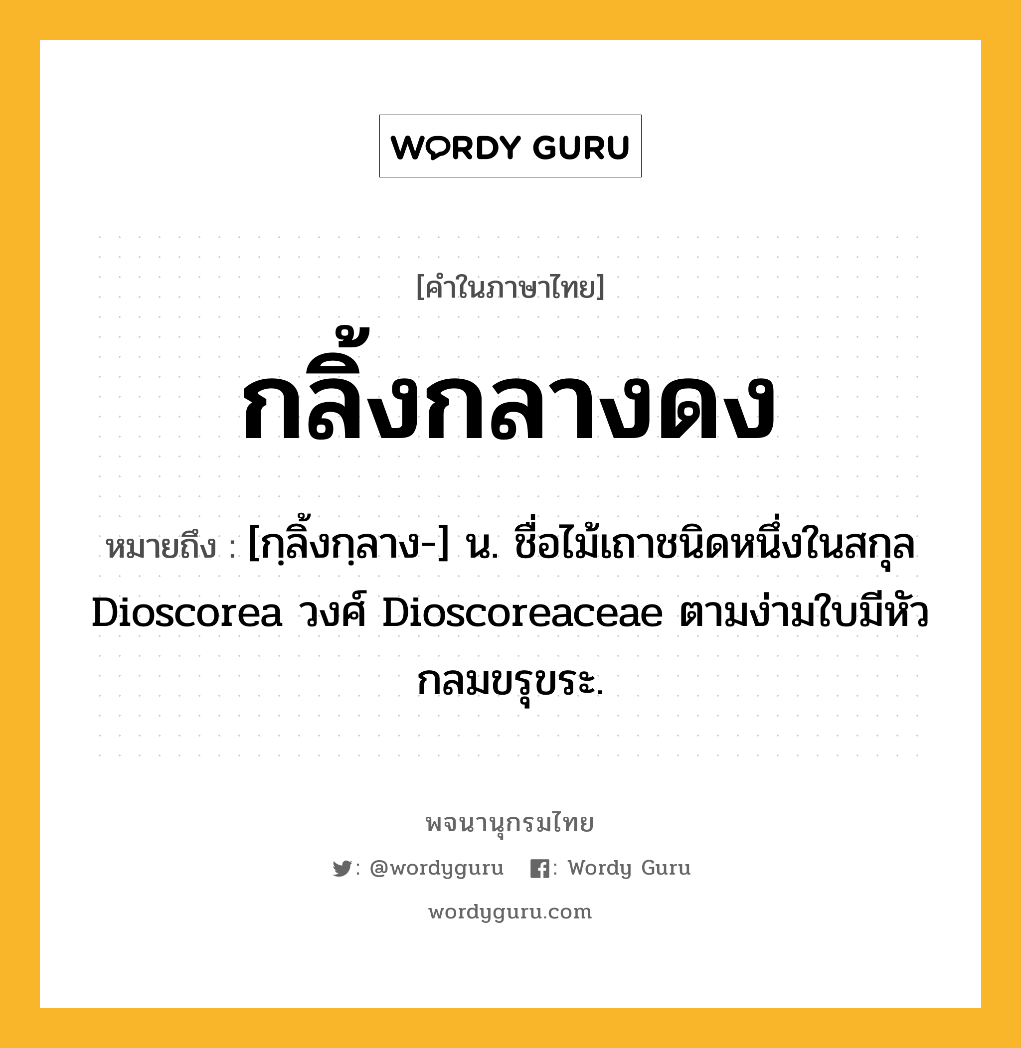 กลิ้งกลางดง ความหมาย หมายถึงอะไร?, คำในภาษาไทย กลิ้งกลางดง หมายถึง [กฺลิ้งกฺลาง-] น. ชื่อไม้เถาชนิดหนึ่งในสกุล Dioscorea วงศ์ Dioscoreaceae ตามง่ามใบมีหัวกลมขรุขระ.