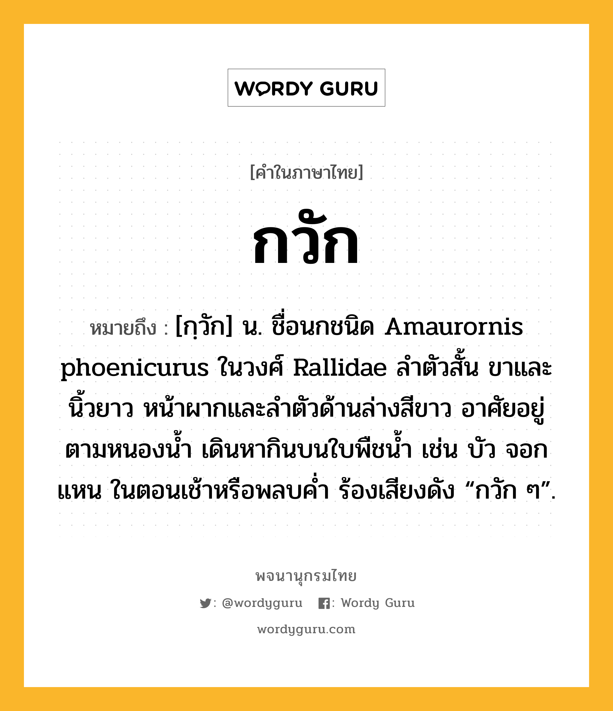 กวัก ความหมาย หมายถึงอะไร?, คำในภาษาไทย กวัก หมายถึง [กฺวัก] น. ชื่อนกชนิด Amaurornis phoenicurus ในวงศ์ Rallidae ลําตัวสั้น ขาและนิ้วยาว หน้าผากและลําตัวด้านล่างสีขาว อาศัยอยู่ตามหนองนํ้า เดินหากินบนใบพืชนํ้า เช่น บัว จอก แหน ในตอนเช้าหรือพลบคํ่า ร้องเสียงดัง “กวัก ๆ”.