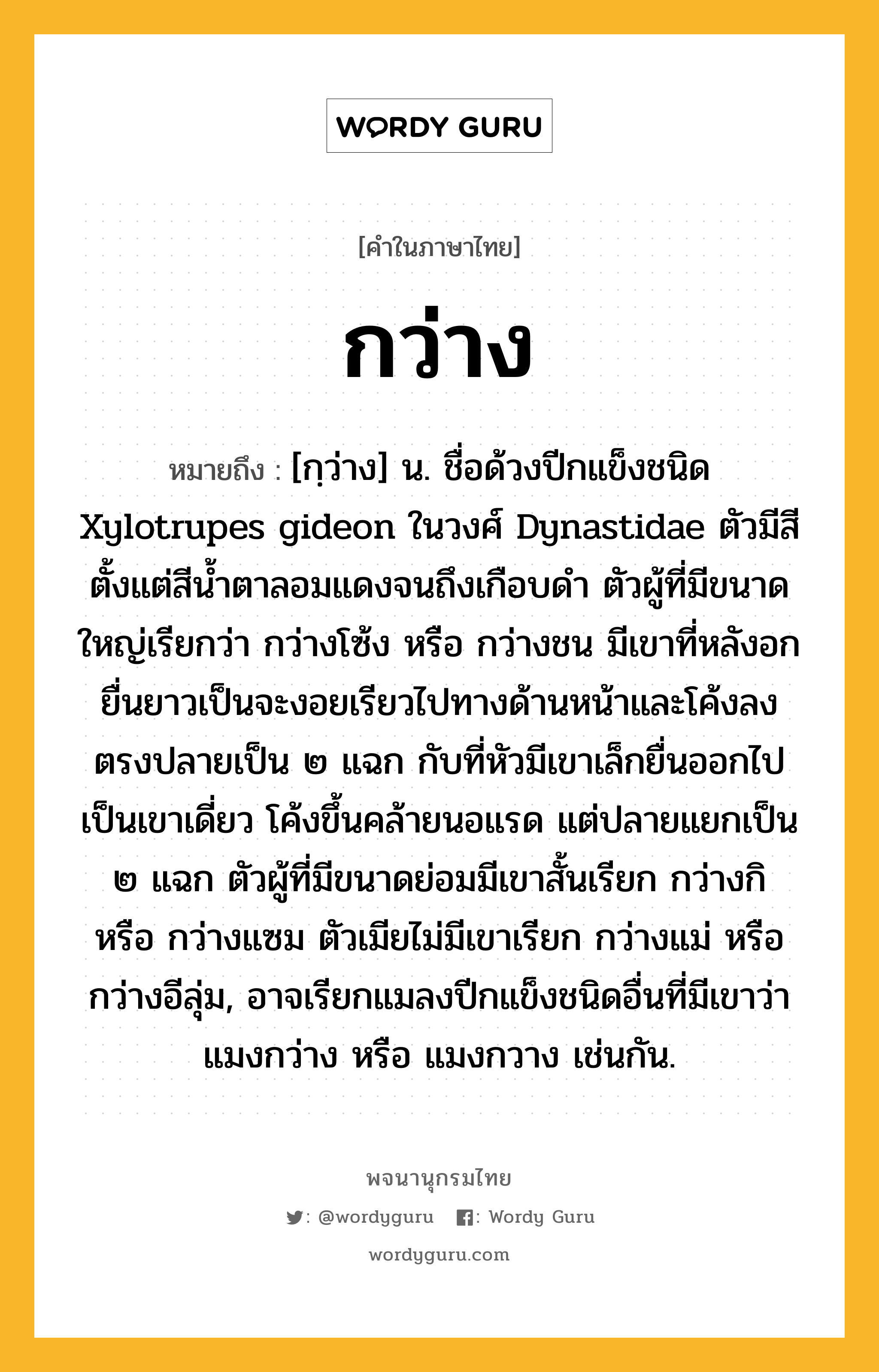 กว่าง ความหมาย หมายถึงอะไร?, คำในภาษาไทย กว่าง หมายถึง [กฺว่าง] น. ชื่อด้วงปีกแข็งชนิด Xylotrupes gideon ในวงศ์ Dynastidae ตัวมีสีตั้งแต่สีน้ำตาลอมแดงจนถึงเกือบดำ ตัวผู้ที่มีขนาดใหญ่เรียกว่า กว่างโซ้ง หรือ กว่างชน มีเขาที่หลังอกยื่นยาวเป็นจะงอยเรียวไปทางด้านหน้าและโค้งลง ตรงปลายเป็น ๒ แฉก กับที่หัวมีเขาเล็กยื่นออกไปเป็นเขาเดี่ยว โค้งขึ้นคล้ายนอแรด แต่ปลายแยกเป็น ๒ แฉก ตัวผู้ที่มีขนาดย่อมมีเขาสั้นเรียก กว่างกิ หรือ กว่างแซม ตัวเมียไม่มีเขาเรียก กว่างแม่ หรือ กว่างอีลุ่ม, อาจเรียกแมลงปีกแข็งชนิดอื่นที่มีเขาว่า แมงกว่าง หรือ แมงกวาง เช่นกัน.