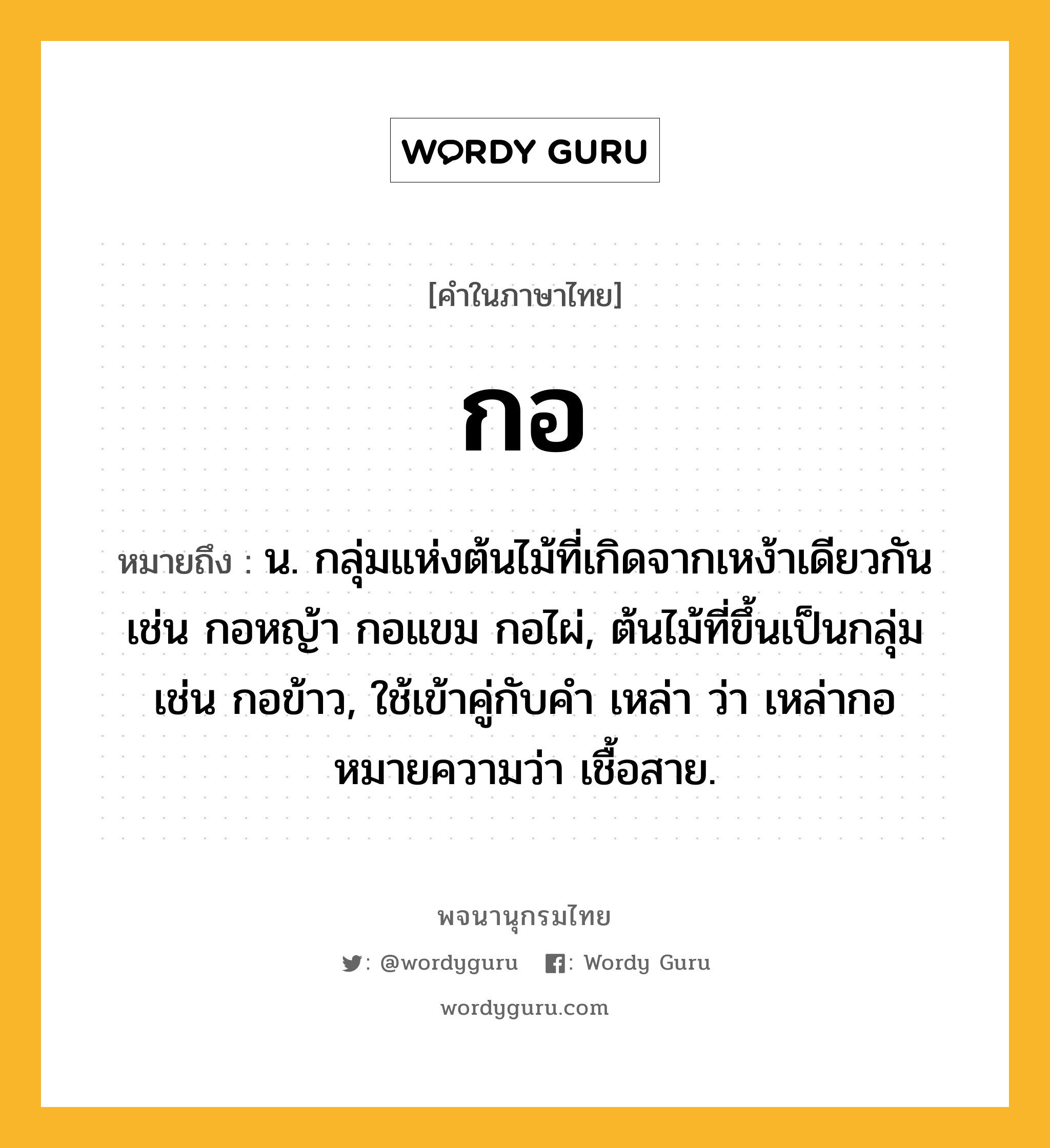 กอ ความหมาย หมายถึงอะไร?, คำในภาษาไทย กอ หมายถึง น. กลุ่มแห่งต้นไม้ที่เกิดจากเหง้าเดียวกัน เช่น กอหญ้า กอแขม กอไผ่, ต้นไม้ที่ขึ้นเป็นกลุ่ม เช่น กอข้าว, ใช้เข้าคู่กับคํา เหล่า ว่า เหล่ากอ หมายความว่า เชื้อสาย.