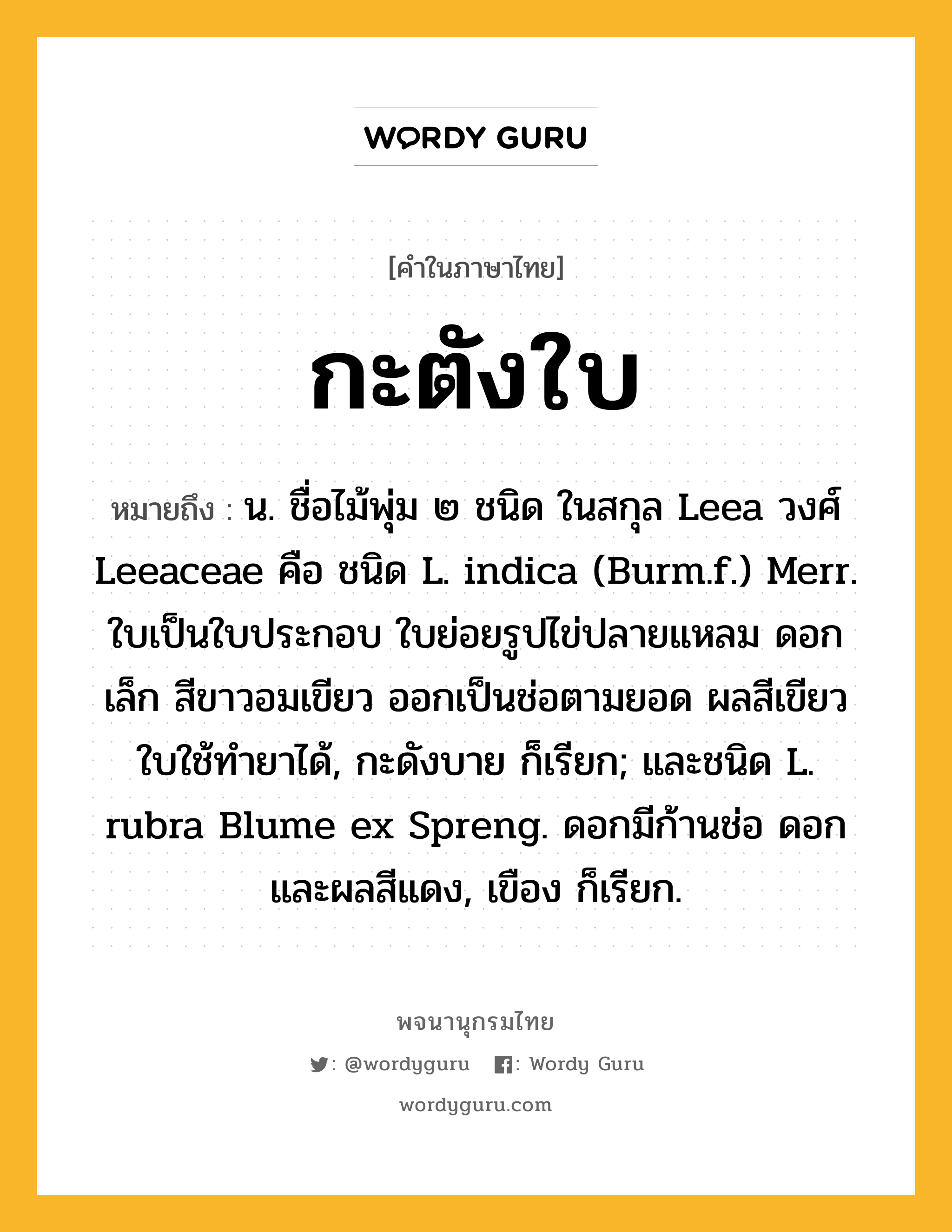 กะตังใบ ความหมาย หมายถึงอะไร?, คำในภาษาไทย กะตังใบ หมายถึง น. ชื่อไม้พุ่ม ๒ ชนิด ในสกุล Leea วงศ์ Leeaceae คือ ชนิด L. indica (Burm.f.) Merr. ใบเป็นใบประกอบ ใบย่อยรูปไข่ปลายแหลม ดอกเล็ก สีขาวอมเขียว ออกเป็นช่อตามยอด ผลสีเขียว ใบใช้ทํายาได้, กะดังบาย ก็เรียก; และชนิด L. rubra Blume ex Spreng. ดอกมีก้านช่อ ดอกและผลสีแดง, เขือง ก็เรียก.