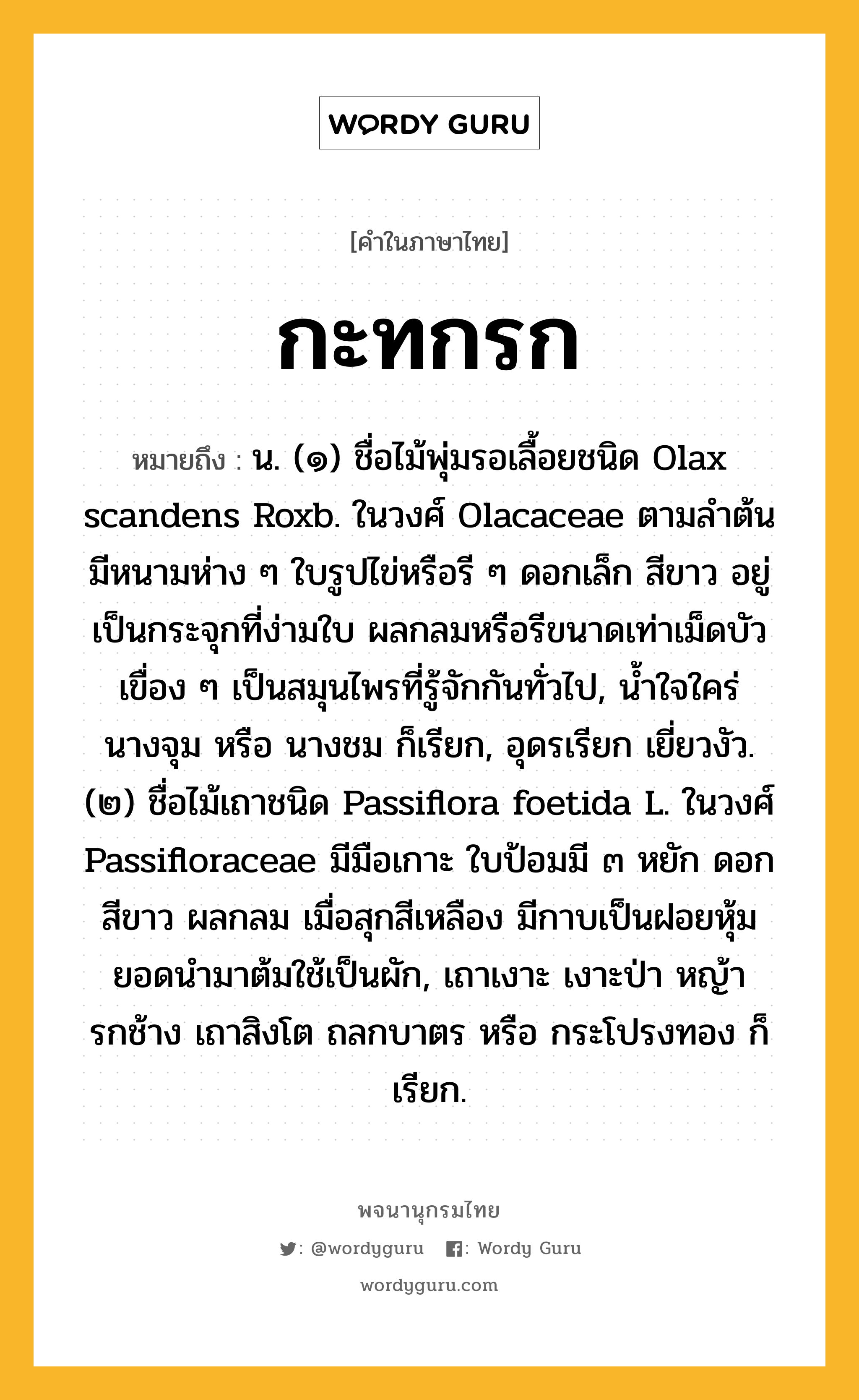 กะทกรก ความหมาย หมายถึงอะไร?, คำในภาษาไทย กะทกรก หมายถึง น. (๑) ชื่อไม้พุ่มรอเลื้อยชนิด Olax scandens Roxb. ในวงศ์ Olacaceae ตามลําต้นมีหนามห่าง ๆ ใบรูปไข่หรือรี ๆ ดอกเล็ก สีขาว อยู่เป็นกระจุกที่ง่ามใบ ผลกลมหรือรีขนาดเท่าเม็ดบัวเขื่อง ๆ เป็นสมุนไพรที่รู้จักกันทั่วไป, นํ้าใจใคร่ นางจุม หรือ นางชม ก็เรียก, อุดรเรียก เยี่ยวงัว. (๒) ชื่อไม้เถาชนิด Passiflora foetida L. ในวงศ์ Passifloraceae มีมือเกาะ ใบป้อมมี ๓ หยัก ดอกสีขาว ผลกลม เมื่อสุกสีเหลือง มีกาบเป็นฝอยหุ้ม ยอดนํามาต้มใช้เป็นผัก, เถาเงาะ เงาะป่า หญ้ารกช้าง เถาสิงโต ถลกบาตร หรือ กระโปรงทอง ก็เรียก.