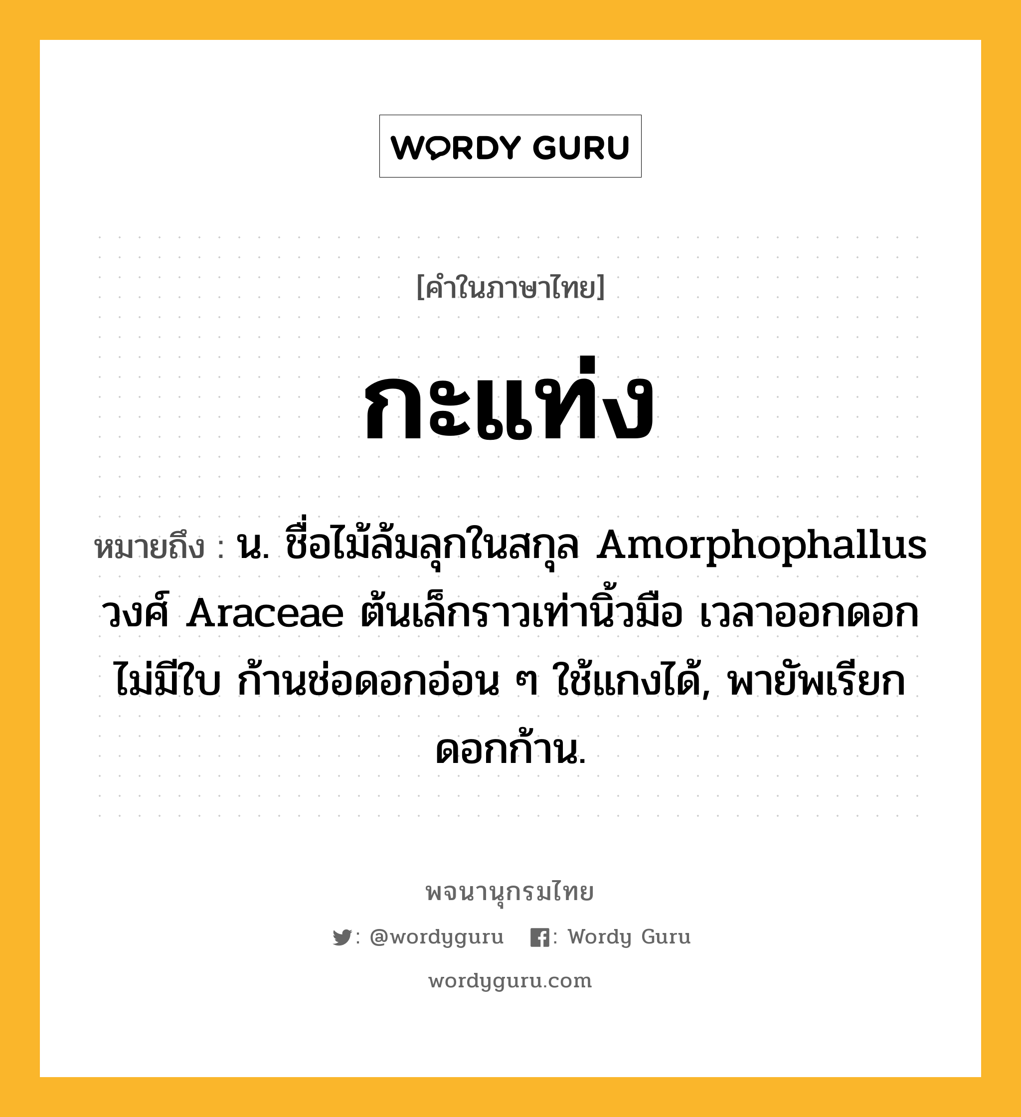 กะแท่ง ความหมาย หมายถึงอะไร?, คำในภาษาไทย กะแท่ง หมายถึง น. ชื่อไม้ล้มลุกในสกุล Amorphophallus วงศ์ Araceae ต้นเล็กราวเท่านิ้วมือ เวลาออกดอกไม่มีใบ ก้านช่อดอกอ่อน ๆ ใช้แกงได้, พายัพเรียก ดอกก้าน.