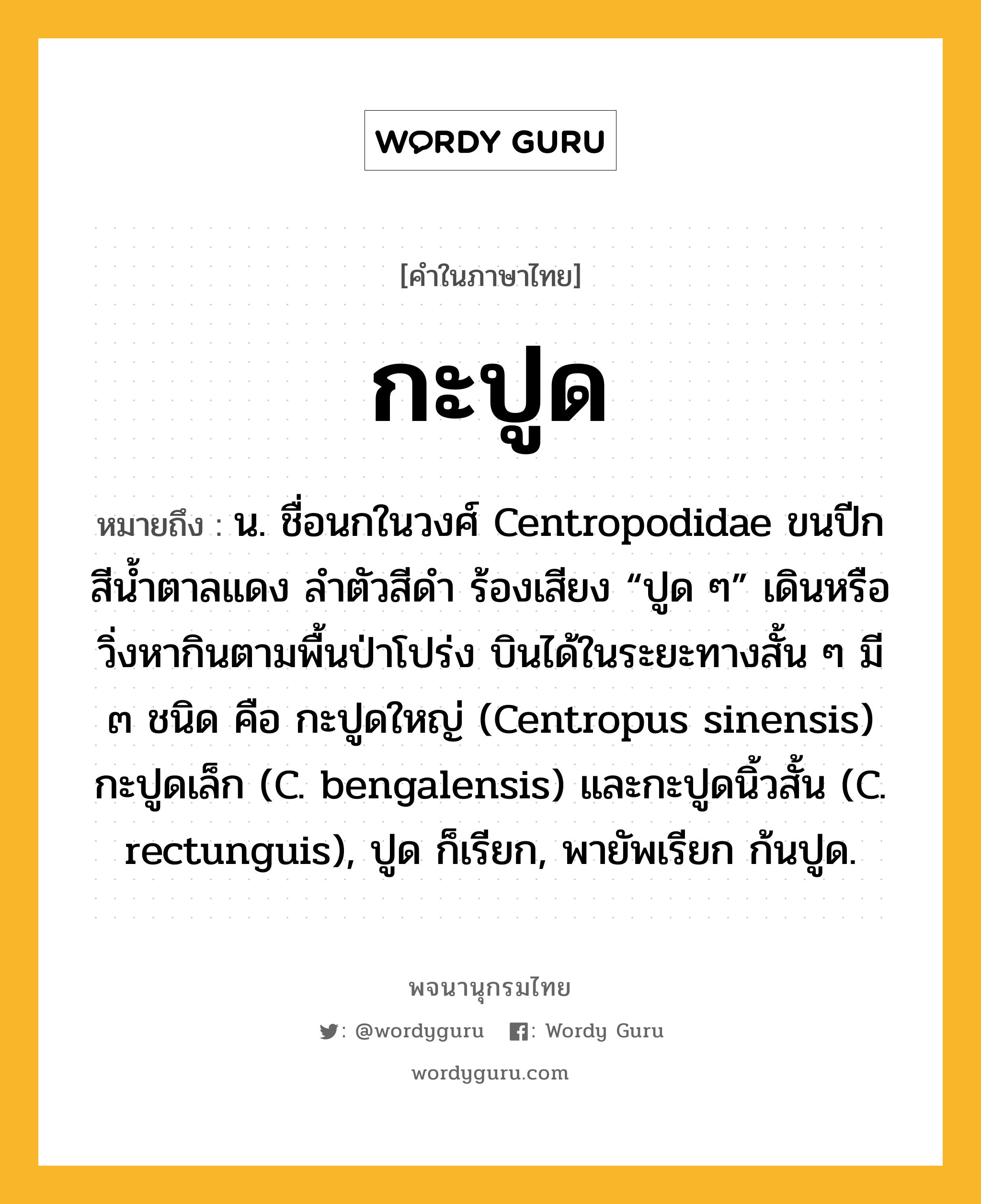 กะปูด ความหมาย หมายถึงอะไร?, คำในภาษาไทย กะปูด หมายถึง น. ชื่อนกในวงศ์ Centropodidae ขนปีกสีนํ้าตาลแดง ลําตัวสีดํา ร้องเสียง “ปูด ๆ” เดินหรือวิ่งหากินตามพื้นป่าโปร่ง บินได้ในระยะทางสั้น ๆ มี ๓ ชนิด คือ กะปูดใหญ่ (Centropus sinensis) กะปูดเล็ก (C. bengalensis) และกะปูดนิ้วสั้น (C. rectunguis), ปูด ก็เรียก, พายัพเรียก ก้นปูด.